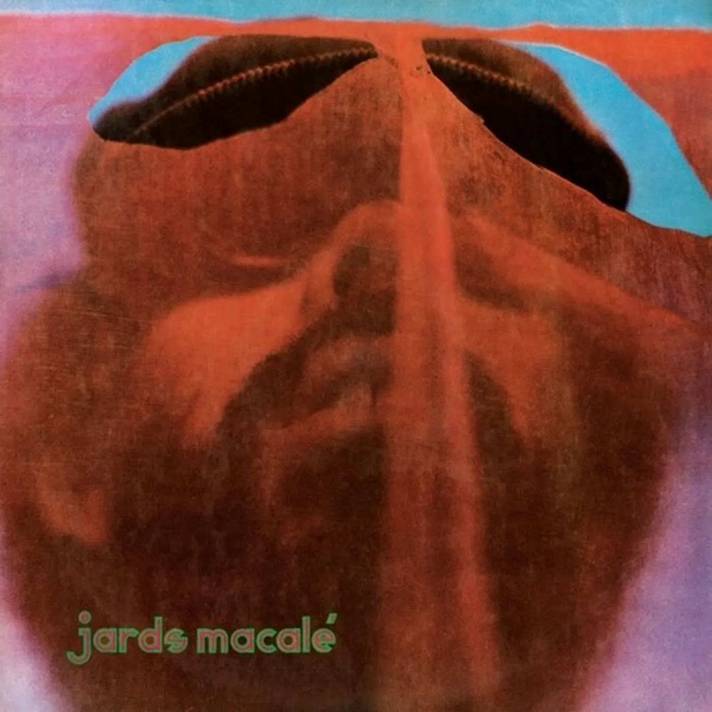 Jards Macalé Vinyl Record