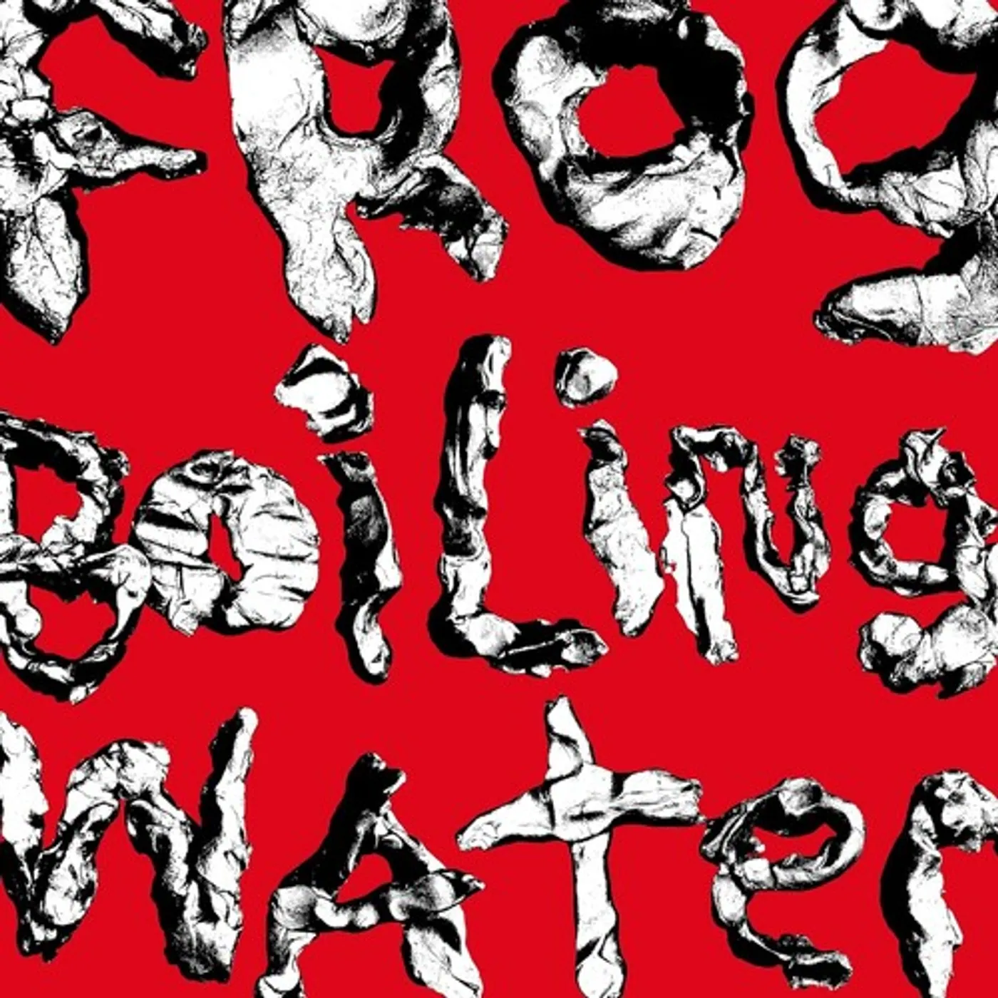 DIIV FROG IN BOILING WATER CD