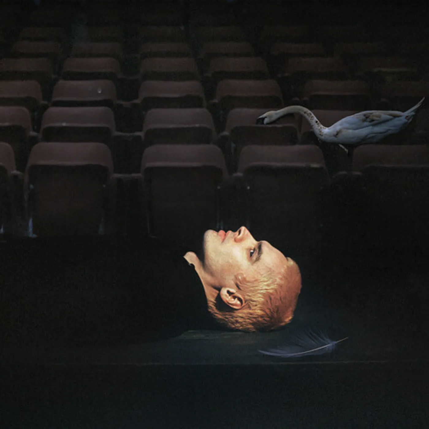 Sega Bodega Dennis Vinyl Record