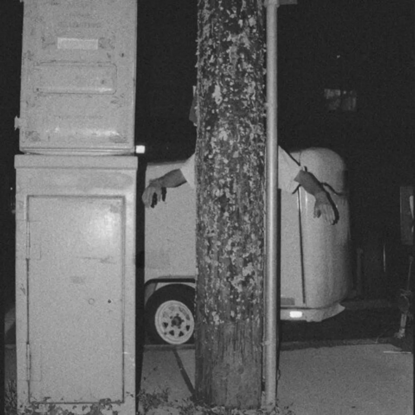 Paper Tiger ALL OVER THE PLACE CD