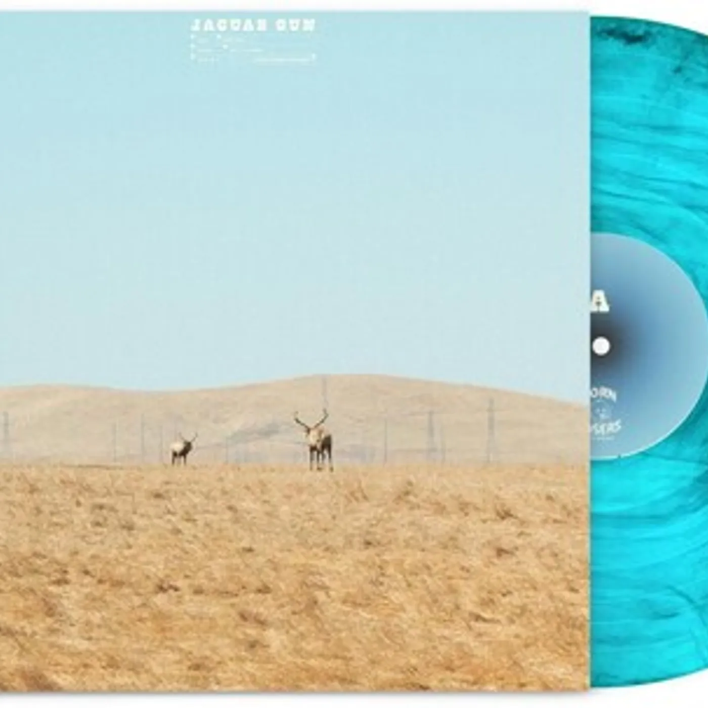 Jaguar Sun For You Vinyl Record