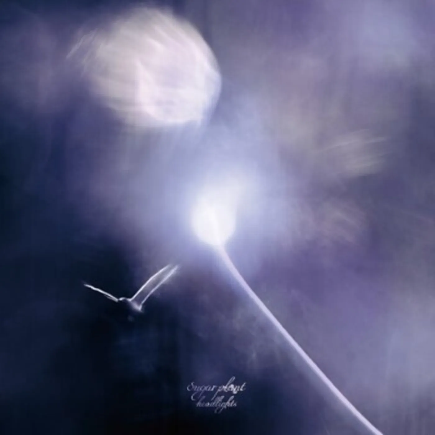 sugar plant HEADLIGHTS Vinyl Record