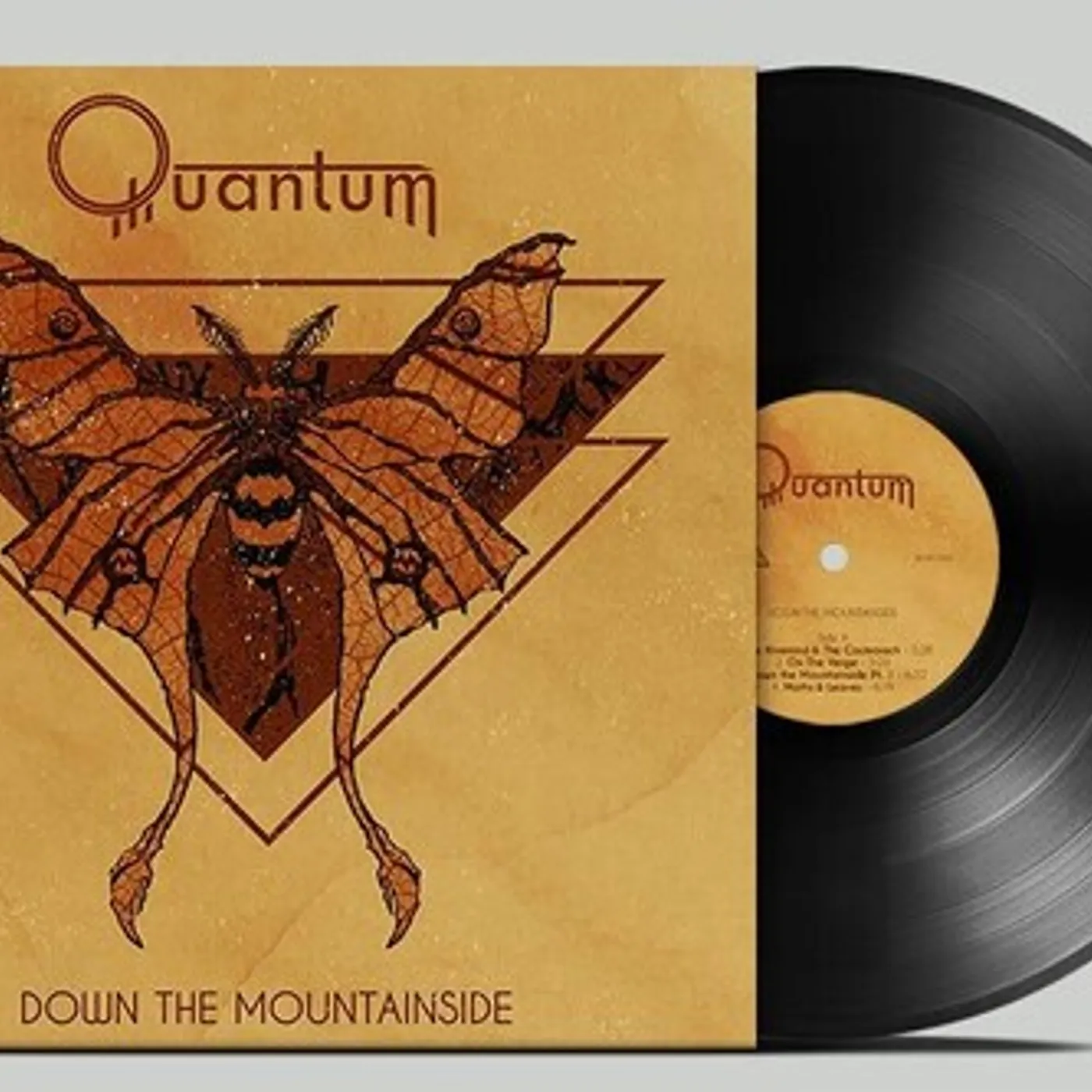 Quantum DOWN THE MOUNTAINSIDE Vinyl Record