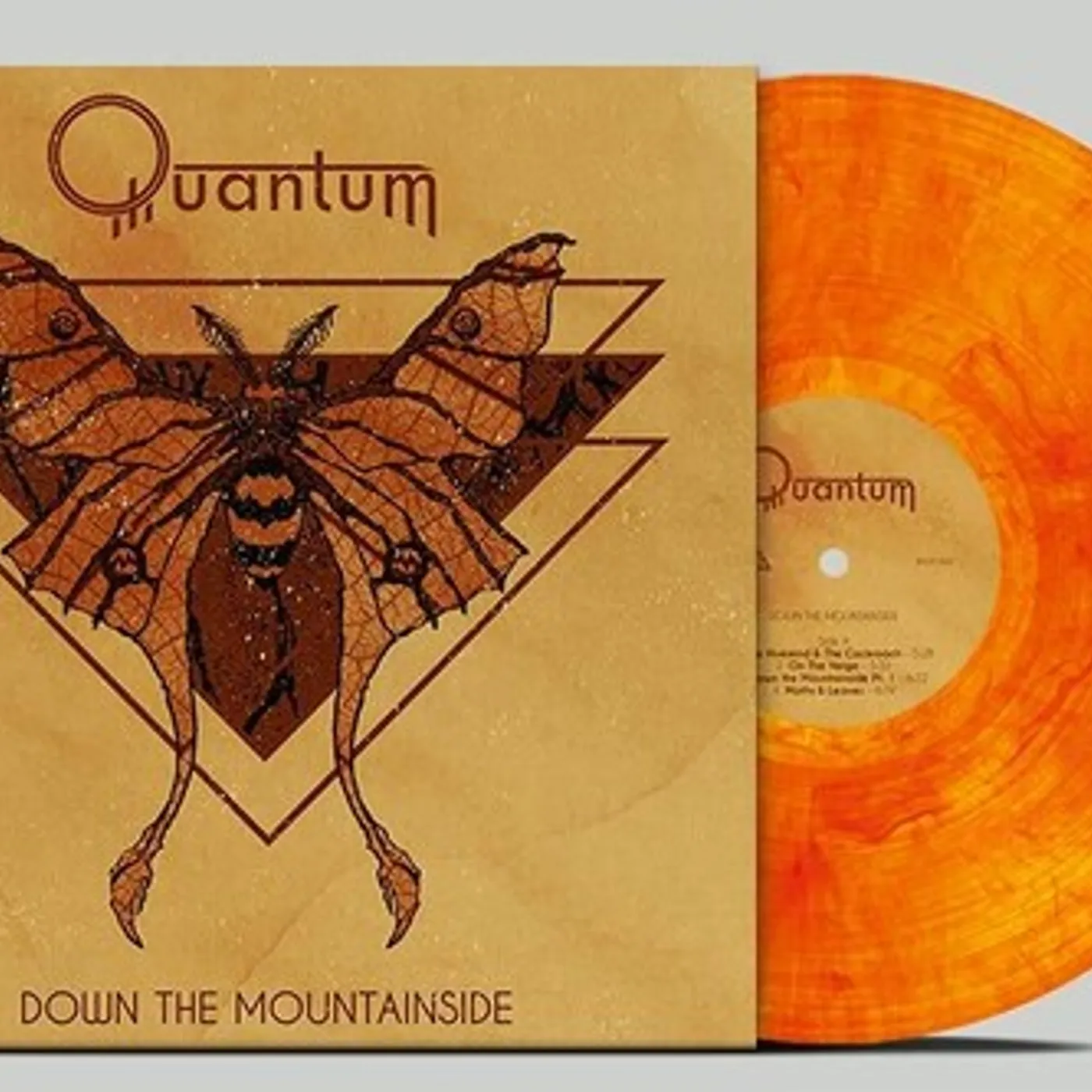 Quantum DOWN THE MOUNTAINSIDE - MARBLED Vinyl Record