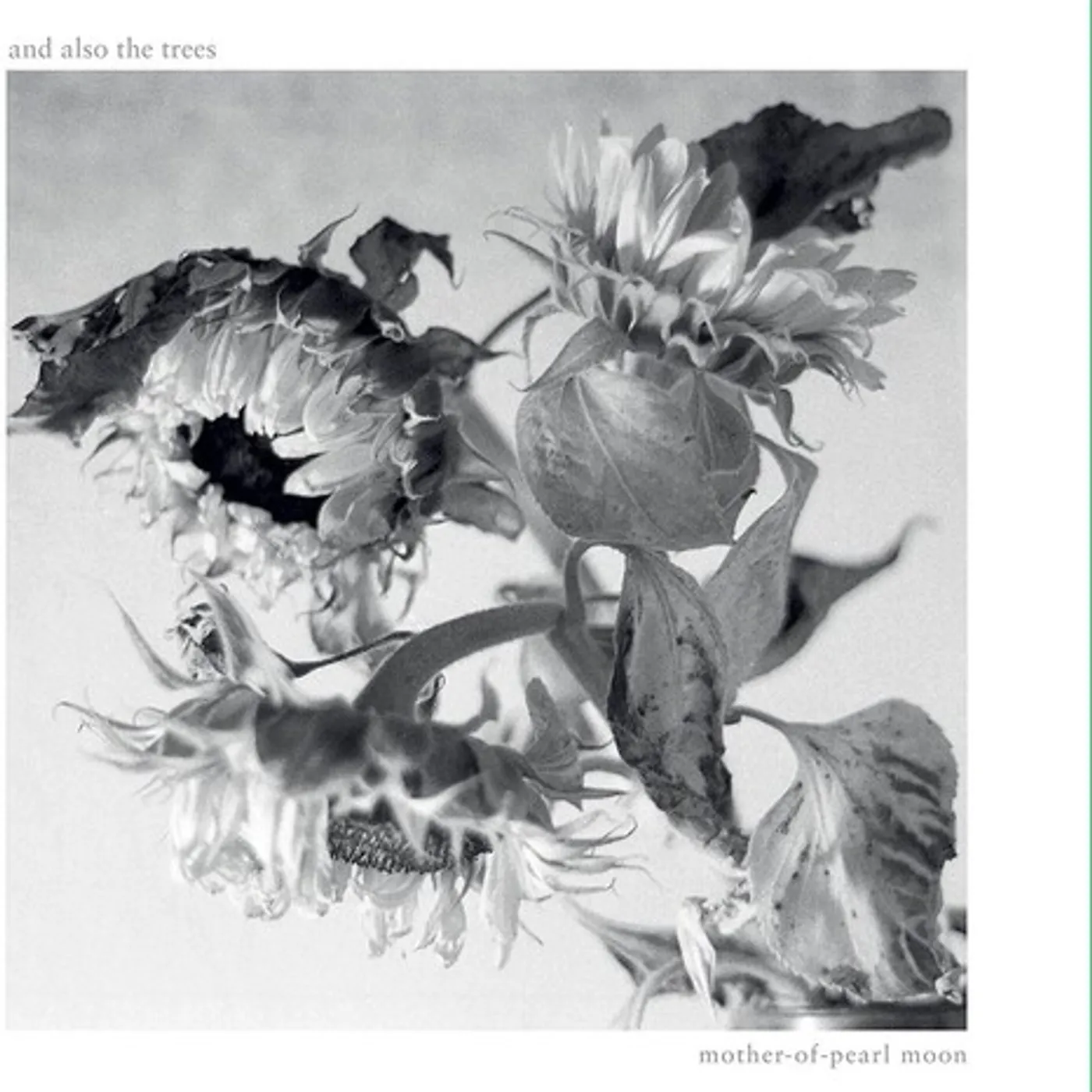 And Also The Trees MOTHER-OF-PEARL MOON CD