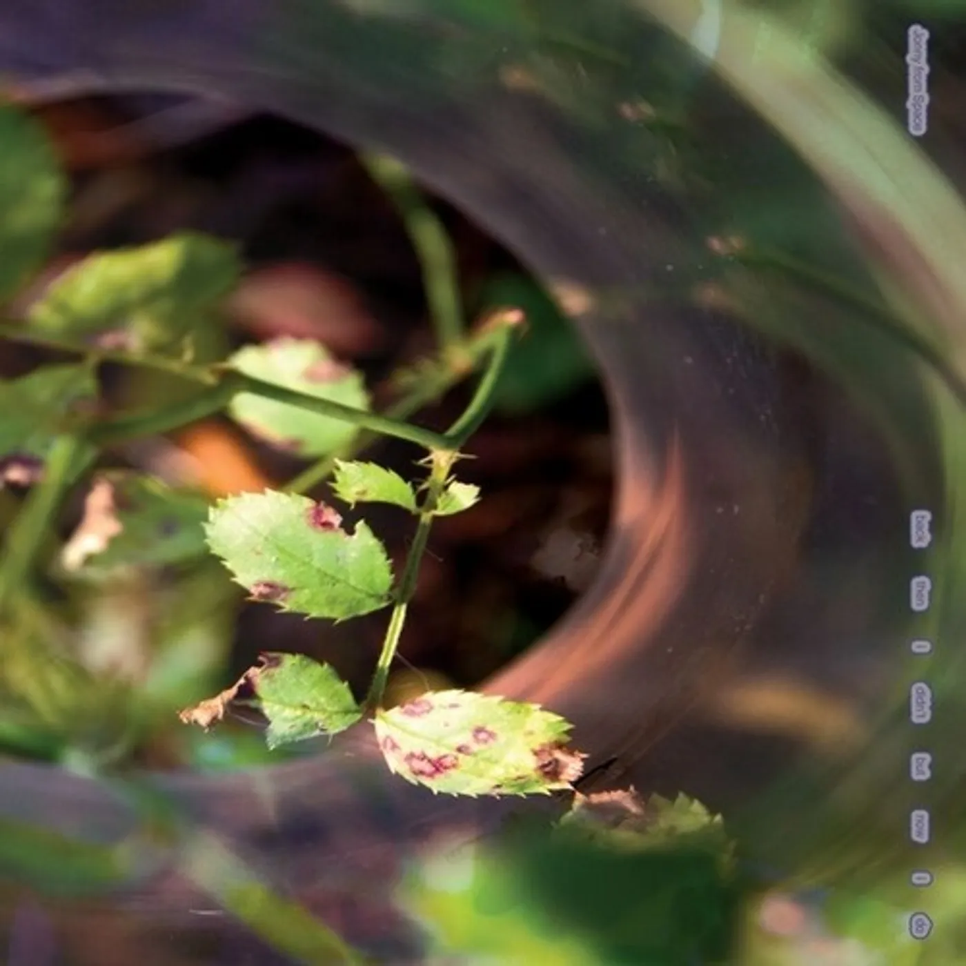 Jonny From Space Back Then I Didn't But Now I Do Vinyl Record