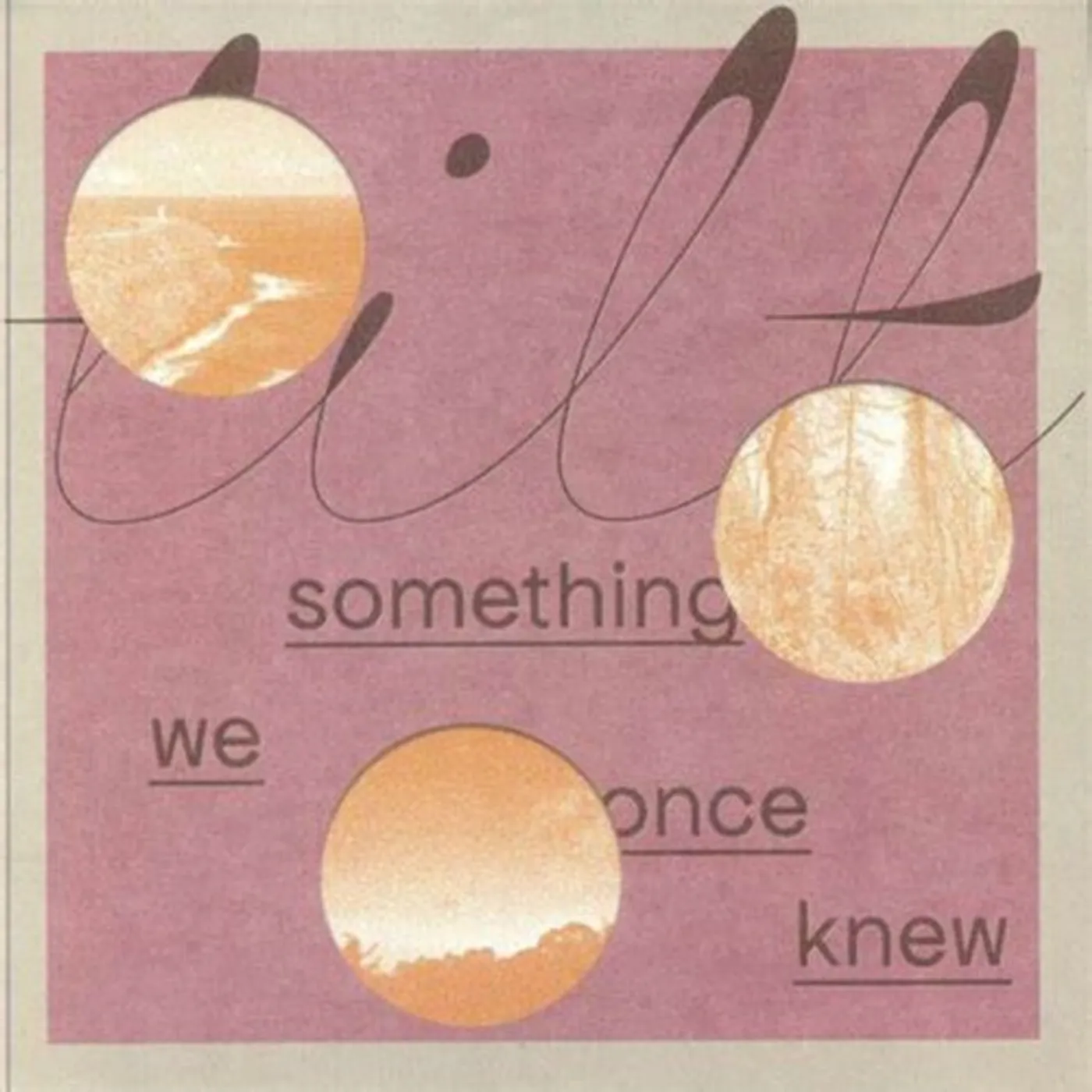 Tilt Something We Once Knew Vinyl Record