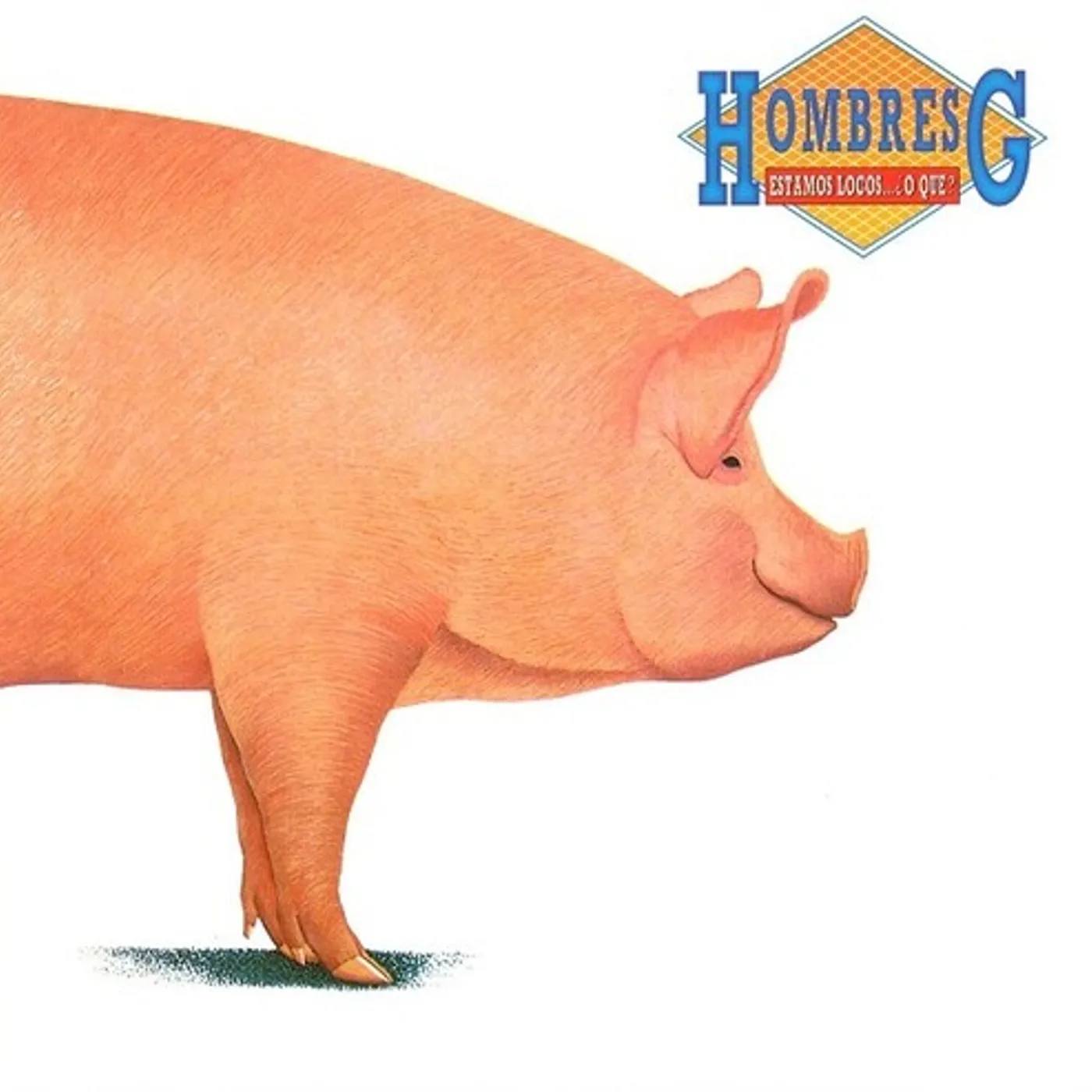 Hombres G Estamos Locos... O Que? Vinyl Record