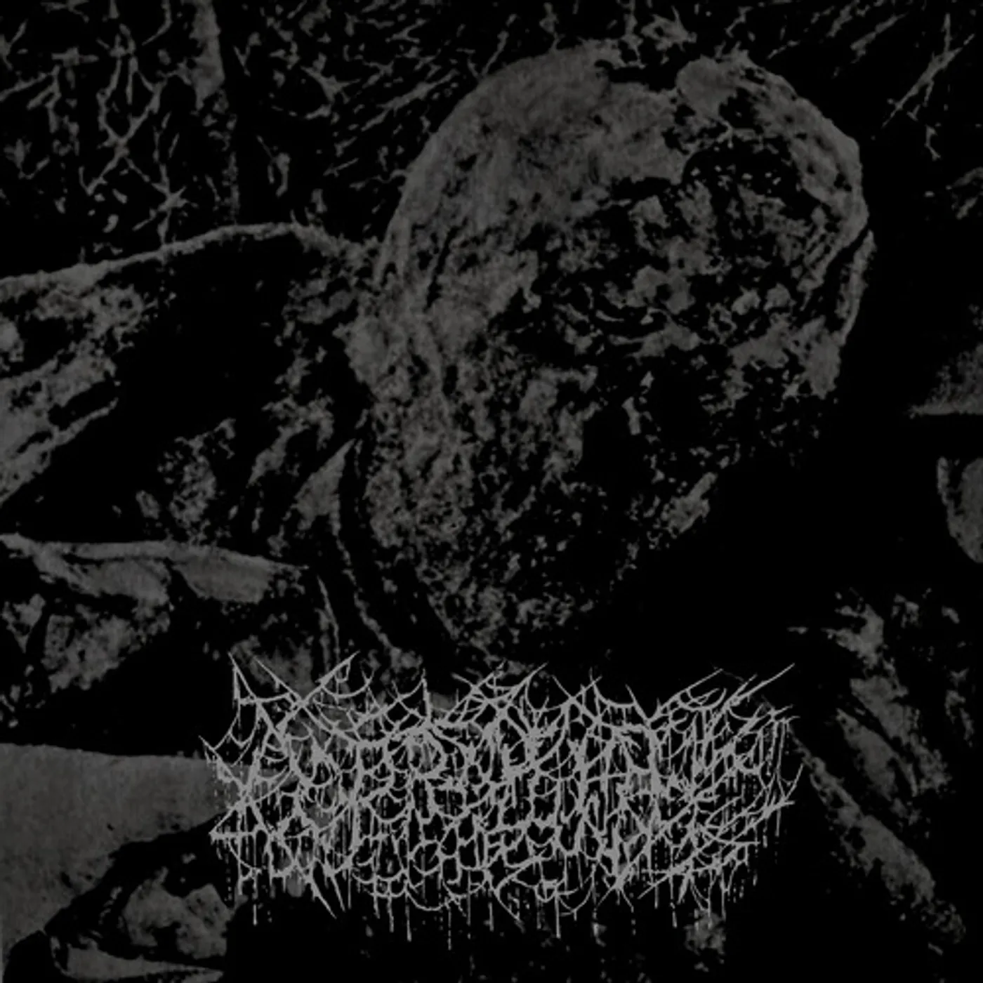  Coprolith S/T Vinyl Record