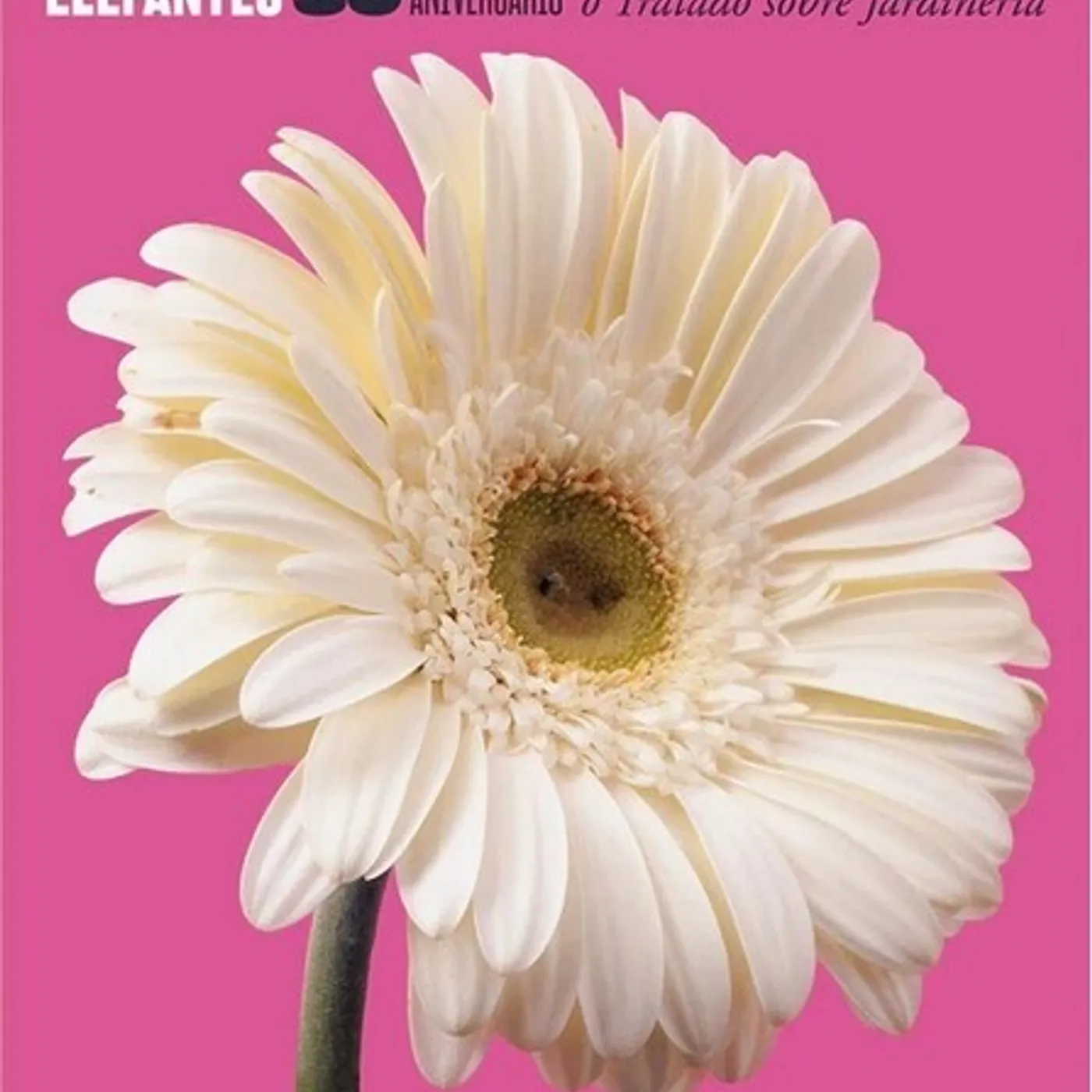 Elefantes 30 Aniversario O Tratado Sobre Jardinería Vinyl Record