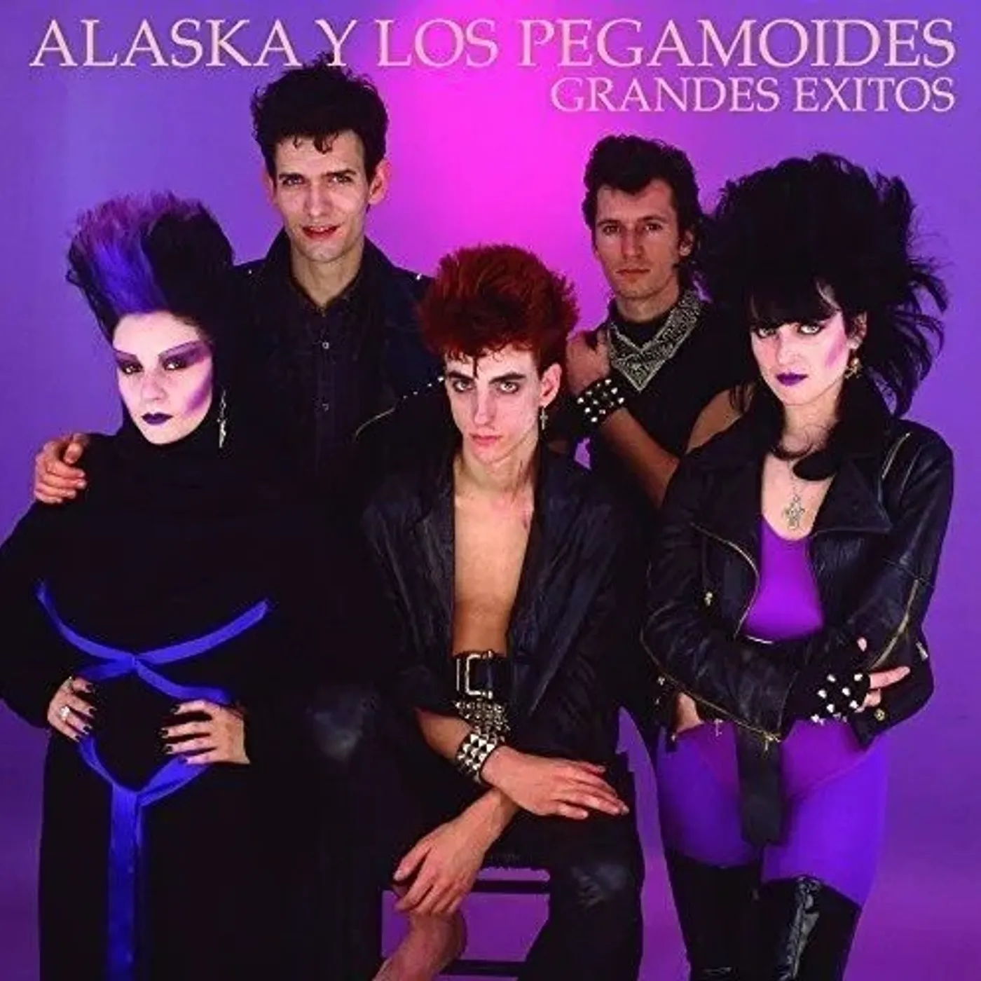  Alaska Y Los Pegamoides Vinyl Record