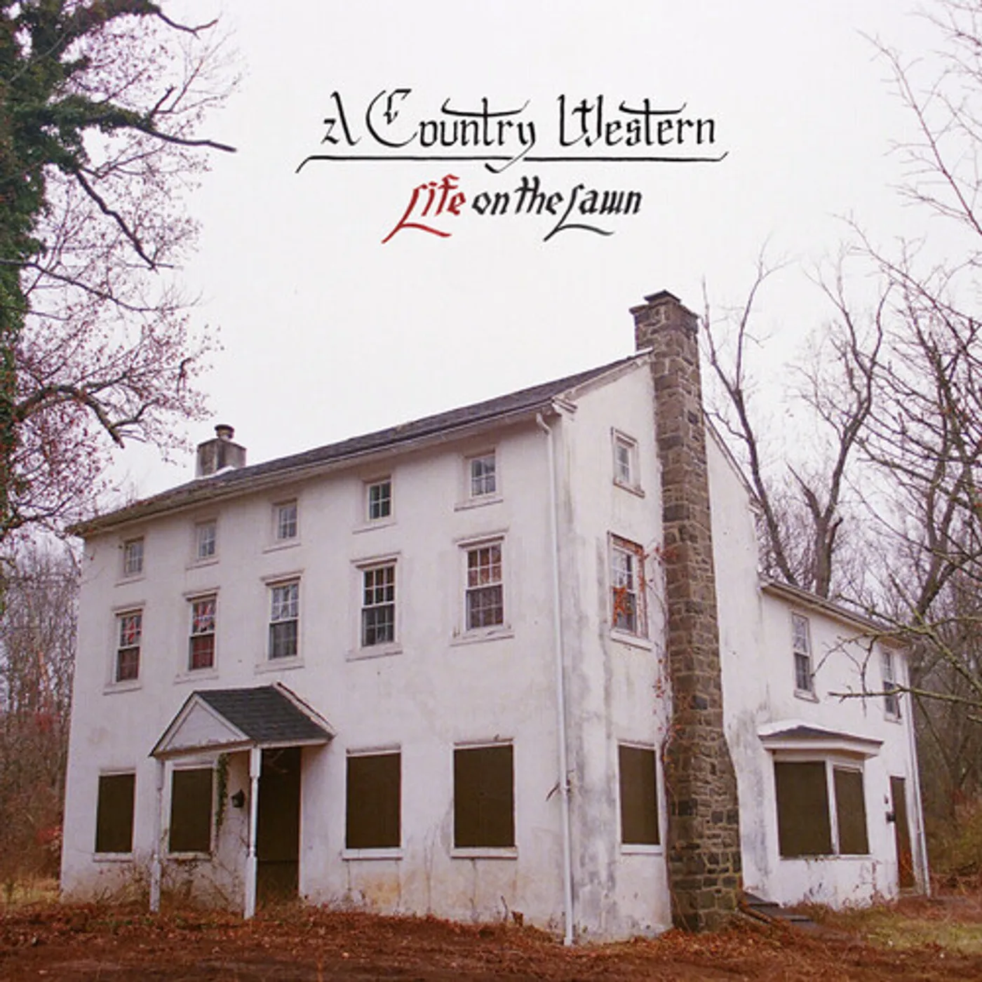 A Country Western LIFE ON THE LAWN Vinyl Record