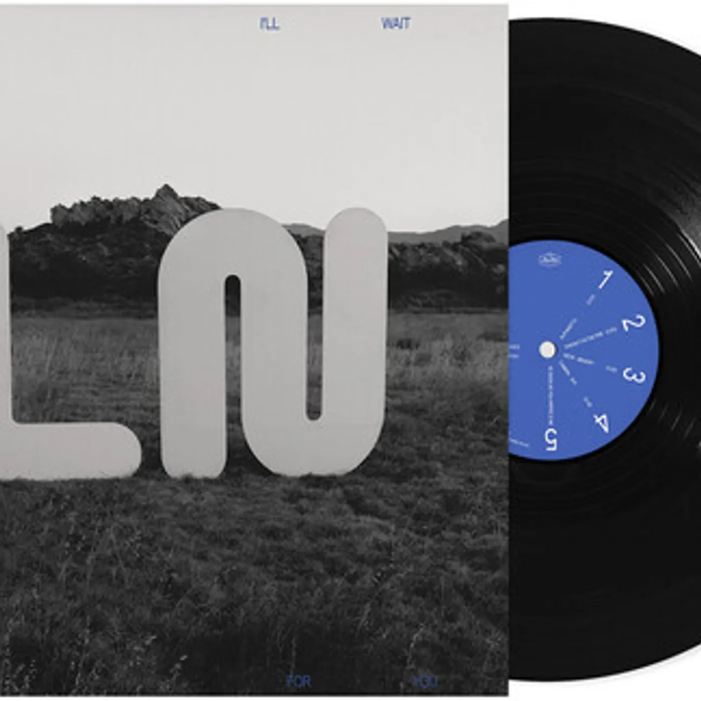 Local Natives But I'll Wait For You Vinyl Record