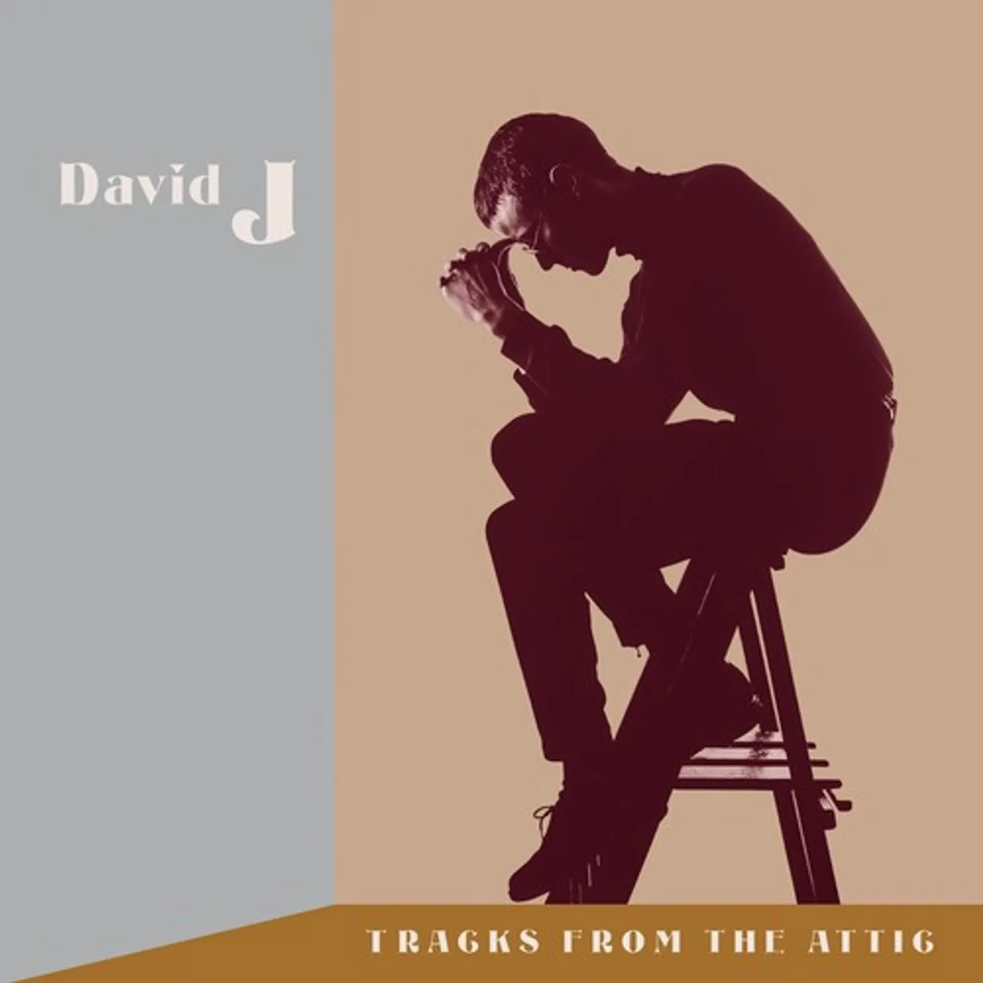 David J Tracks From The Attic (3LP/ Clear, Brown) Vinyl Record