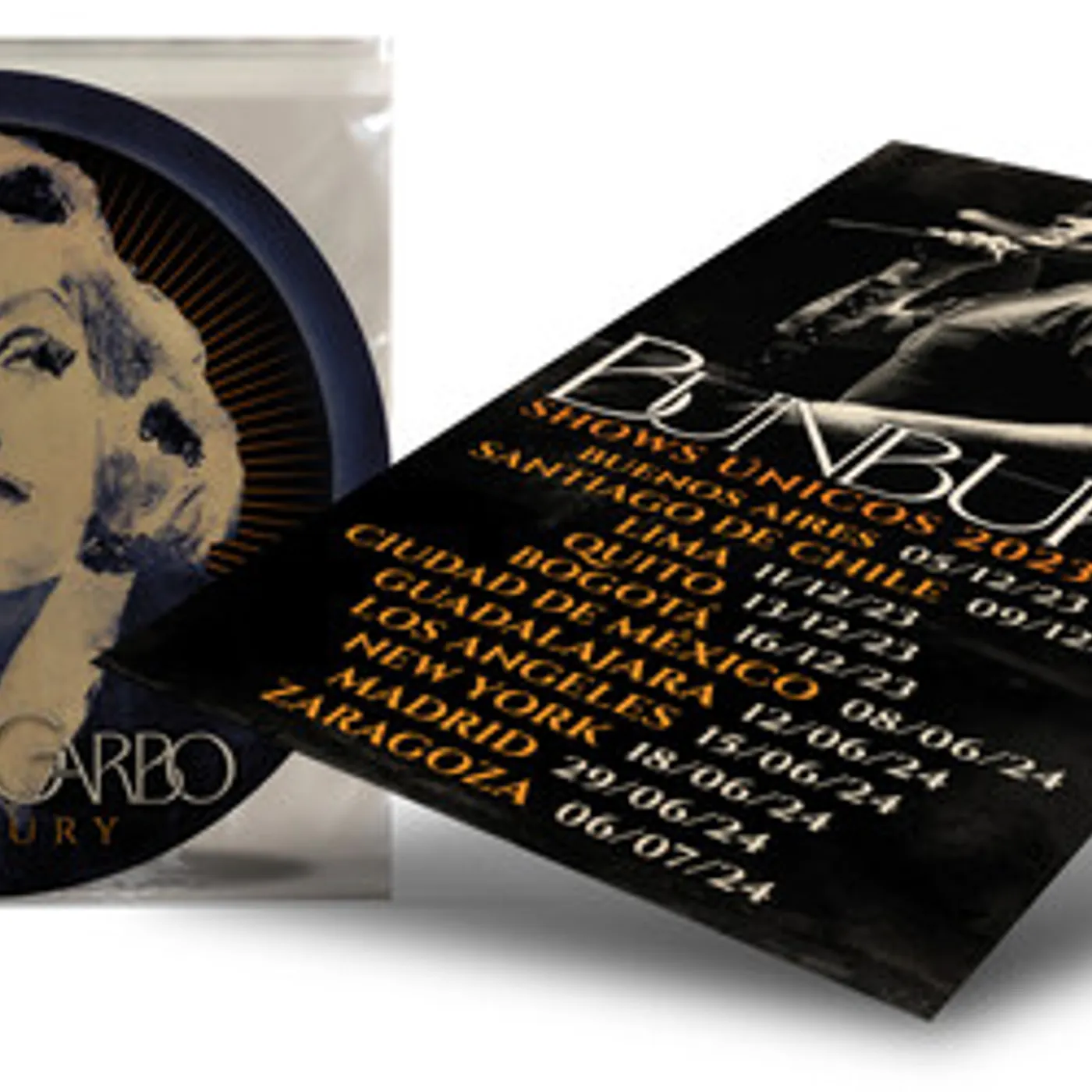 Bunbury Greta Garbo (Picture Disc) Vinyl Record