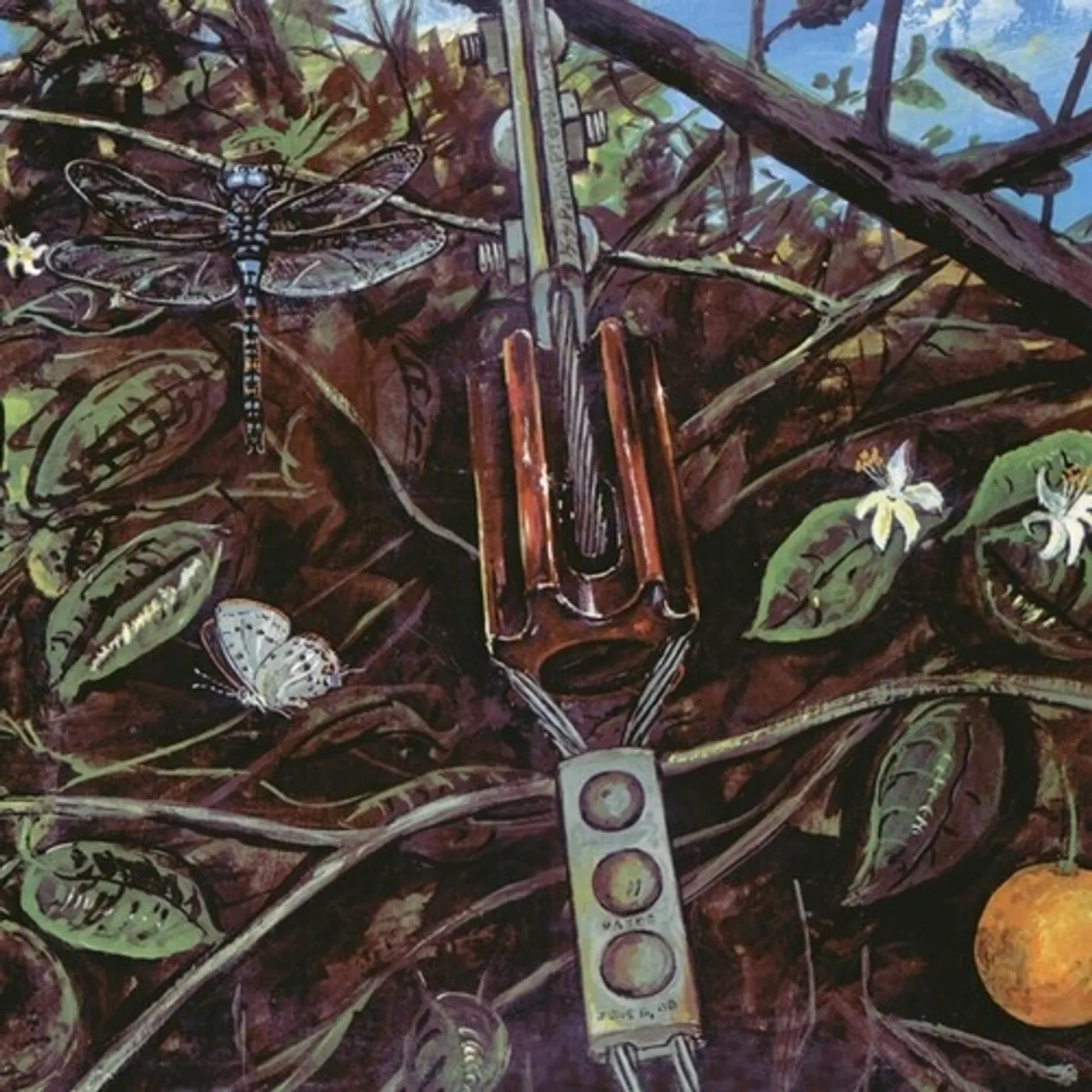  Dragonfly Vinyl Record