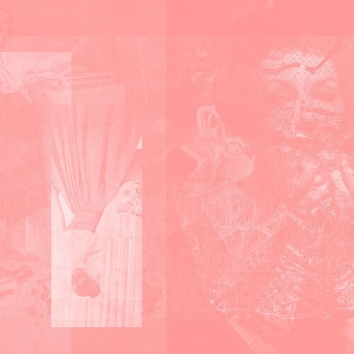 Pinkcourtesyphone ARISE IN SINKING FEELINGS CD