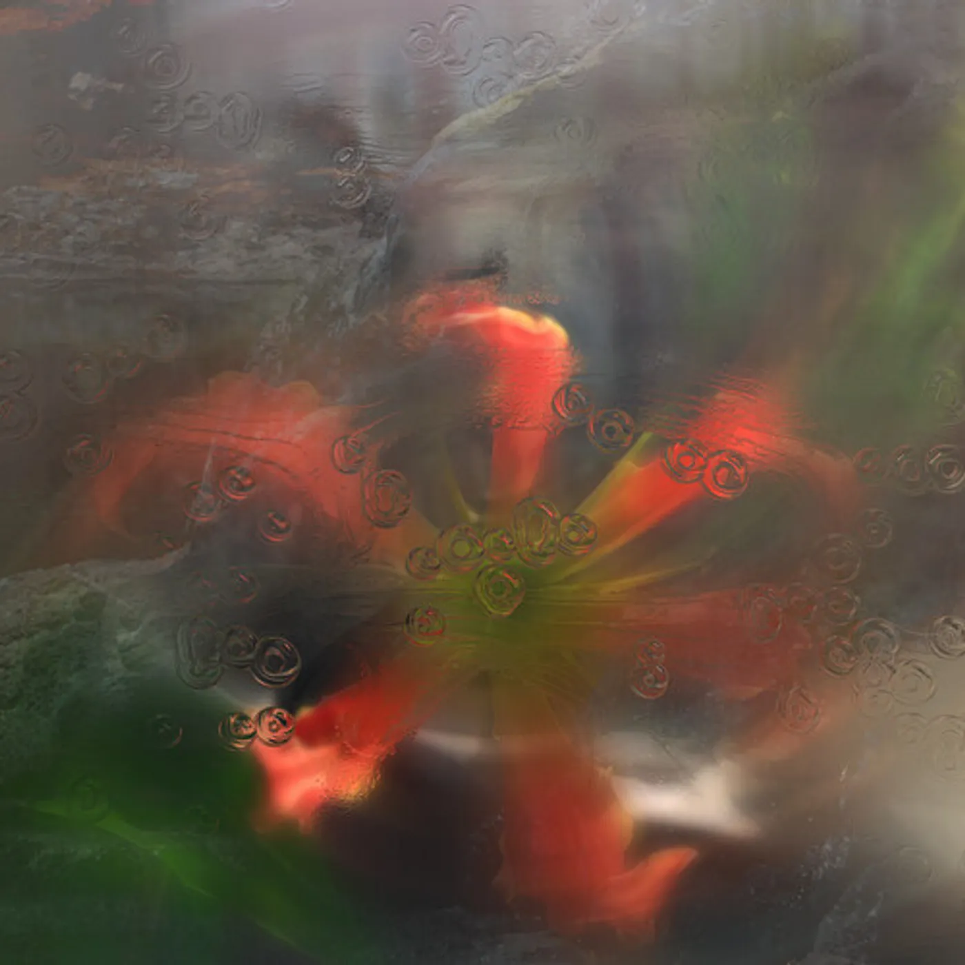 upsammy GERM IN A POPULATION OF BUILDINGS Vinyl Record