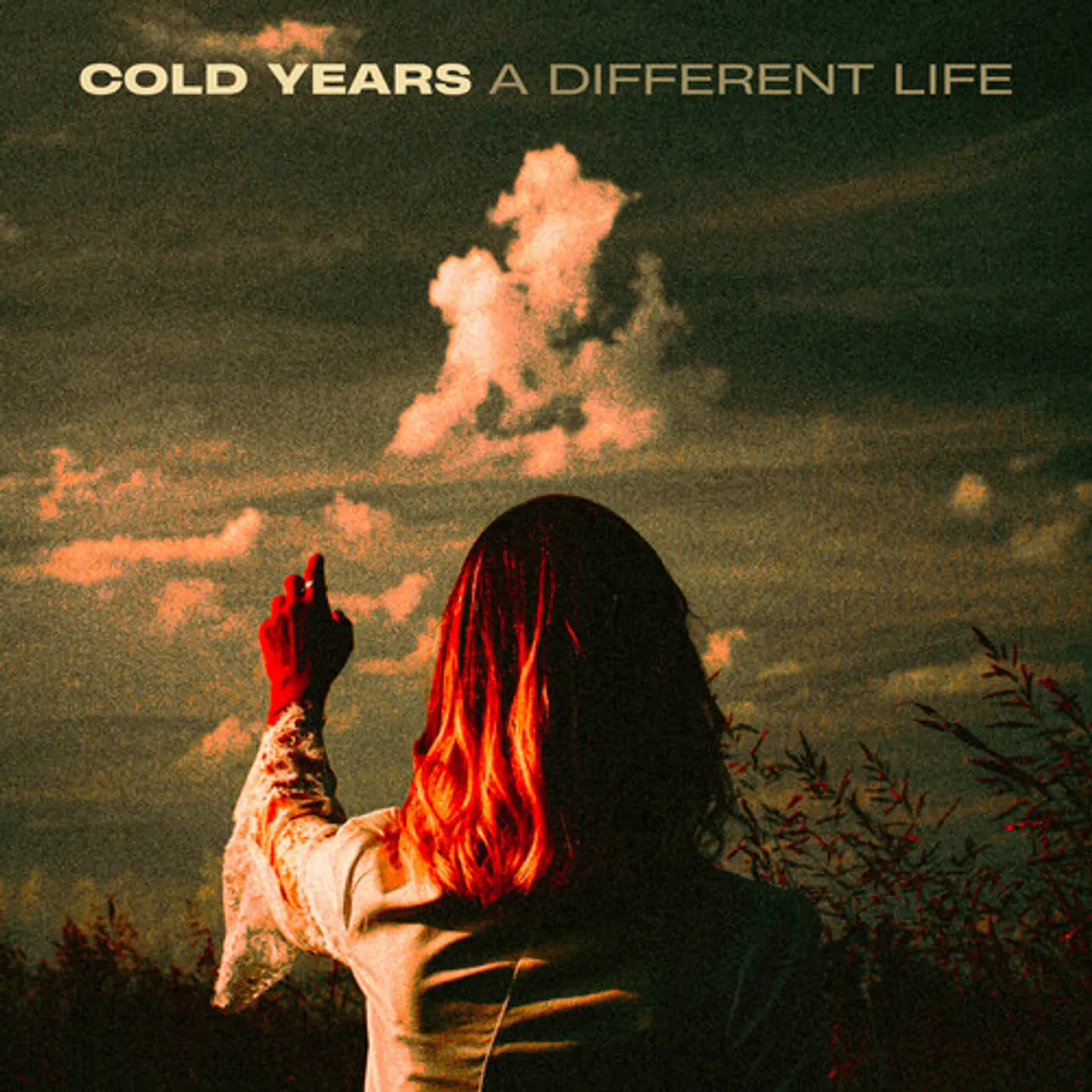 Cold Years DIFFERENT LIFE CD
