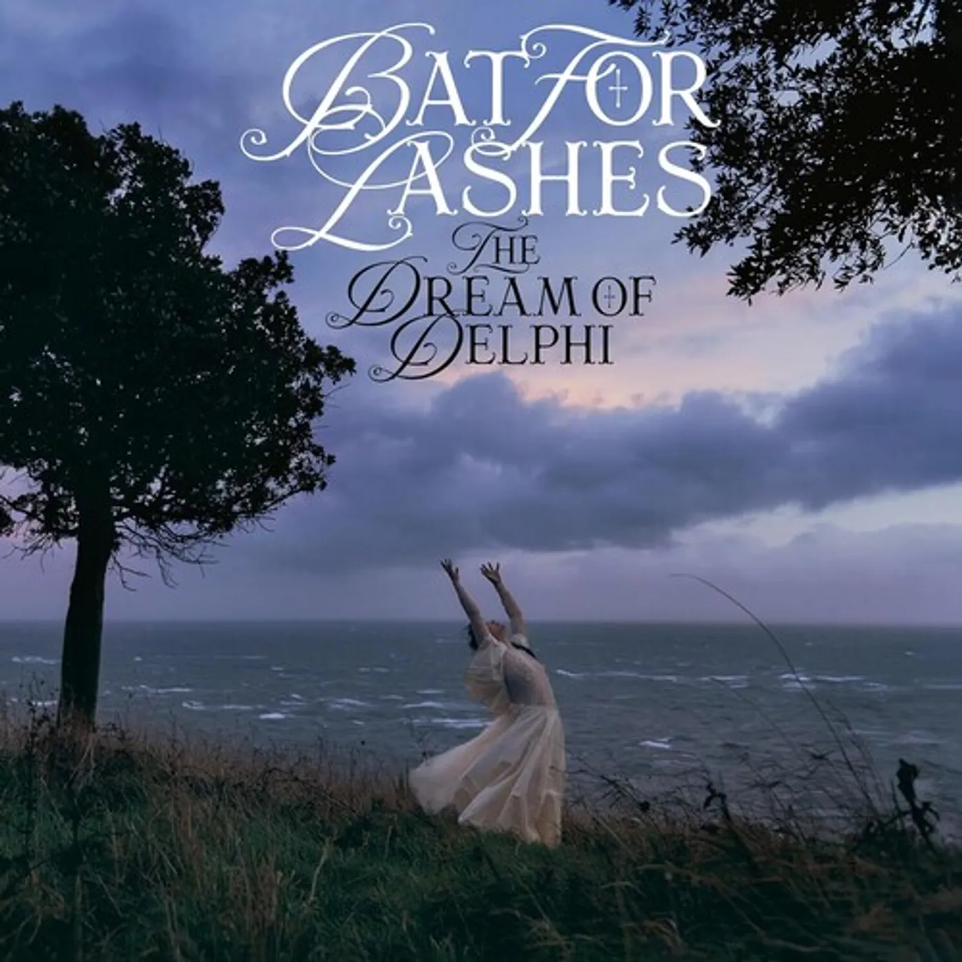Bat For Lashes DREAM OF DELPHI CD