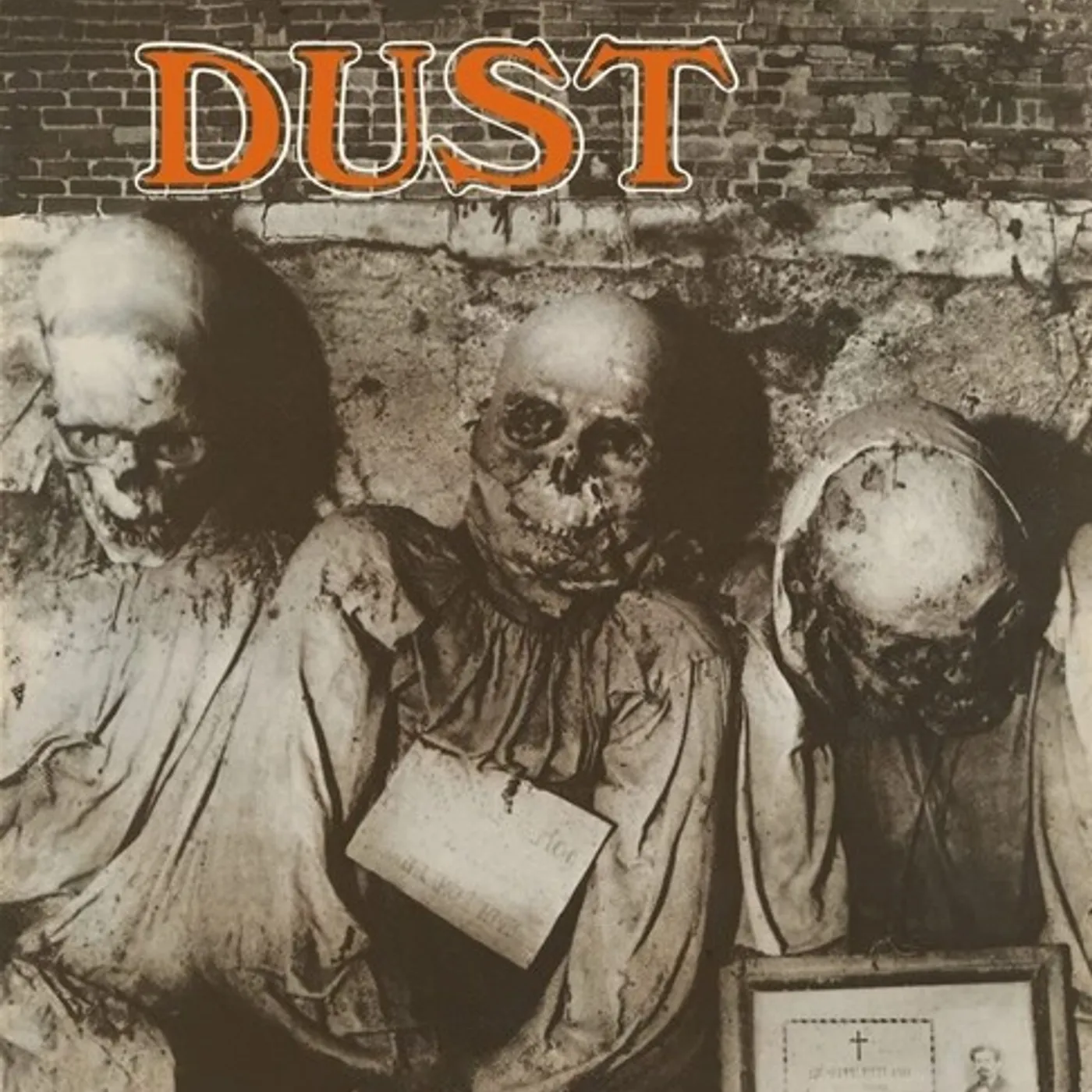 DUST - GREY VINYL Vinyl Record
