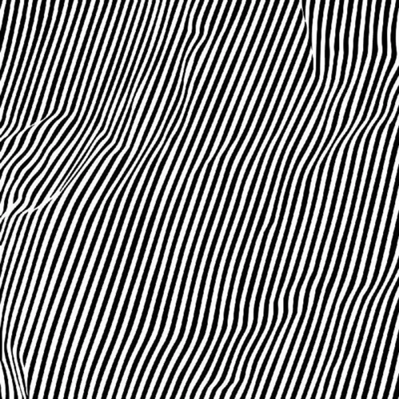 Animal Hospital FATIQUE Vinyl Record