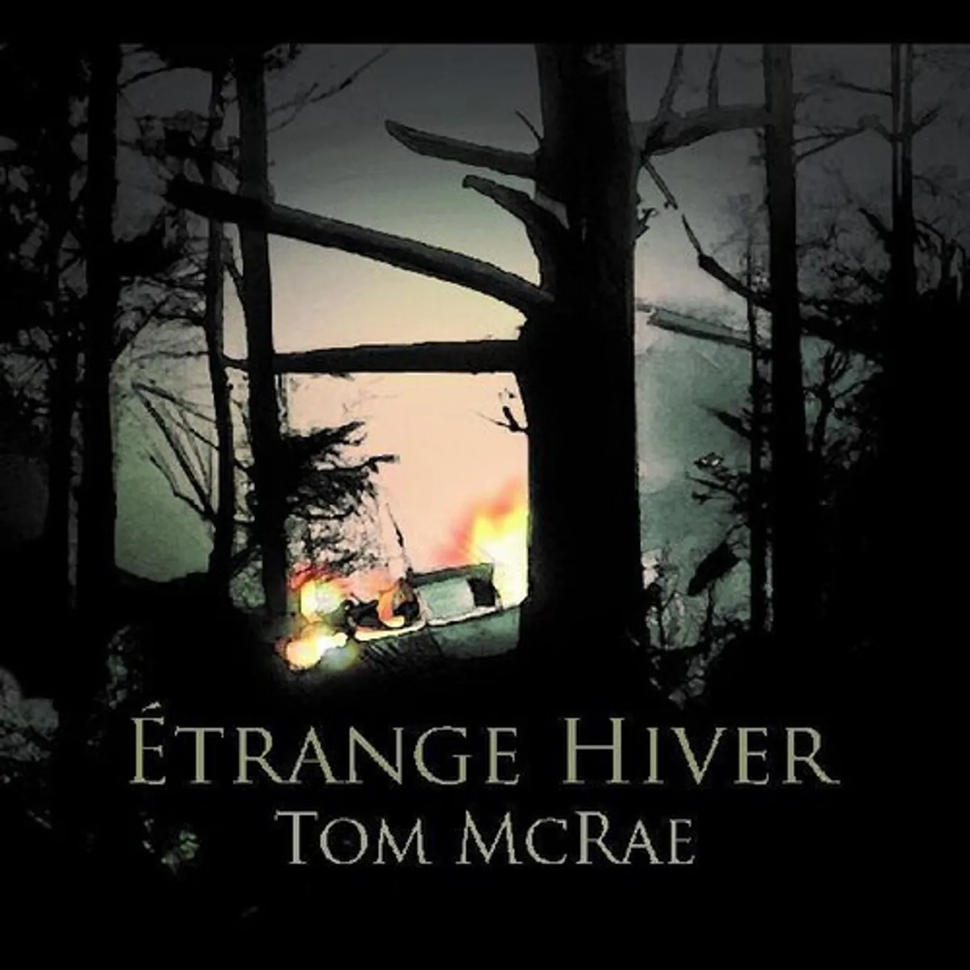 Tom McRae ETRANGE HIVER Vinyl Record
