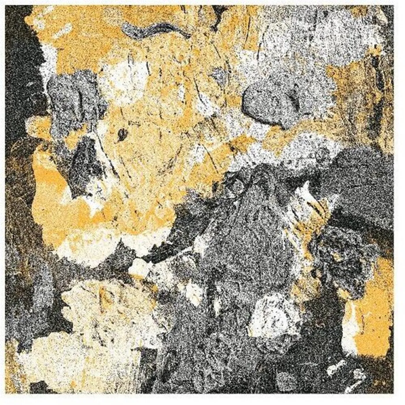 bdrmm Standard Tuning Vinyl Record