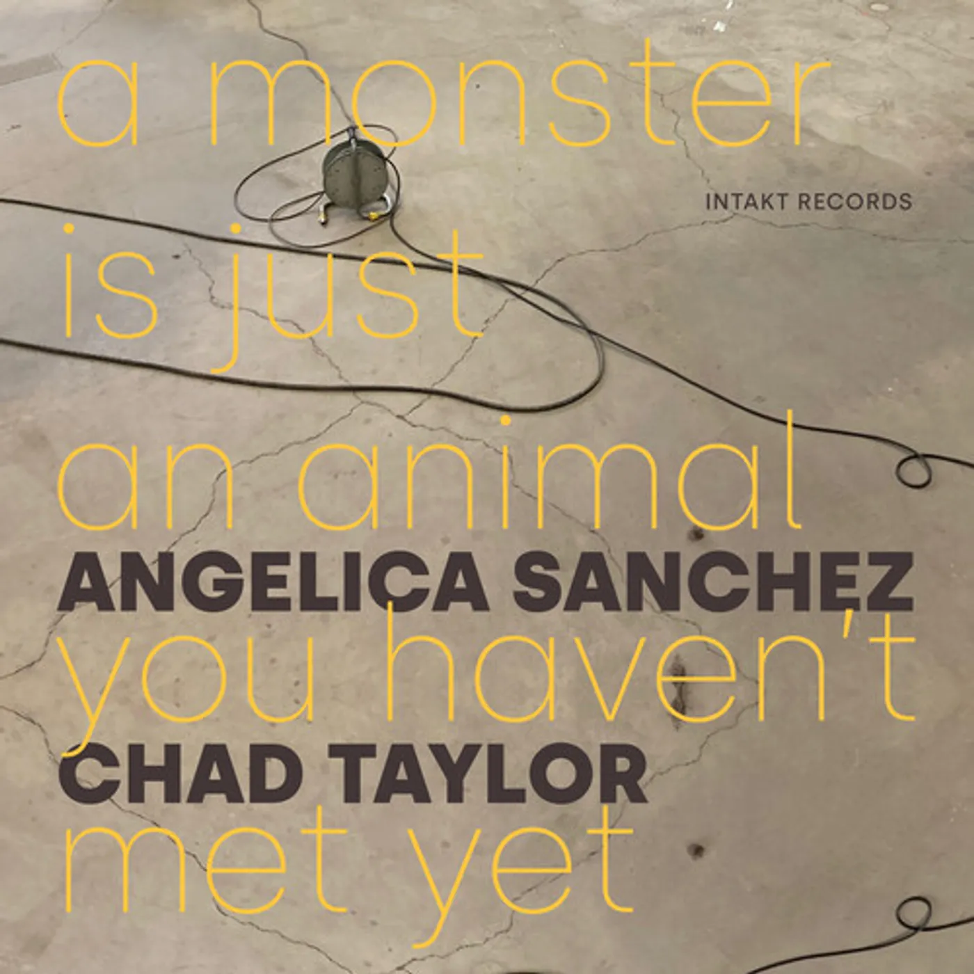 Angelica Sanchez MONSTER IS JUST AN ANIMAL YOU HAVEN'T MET YET CD