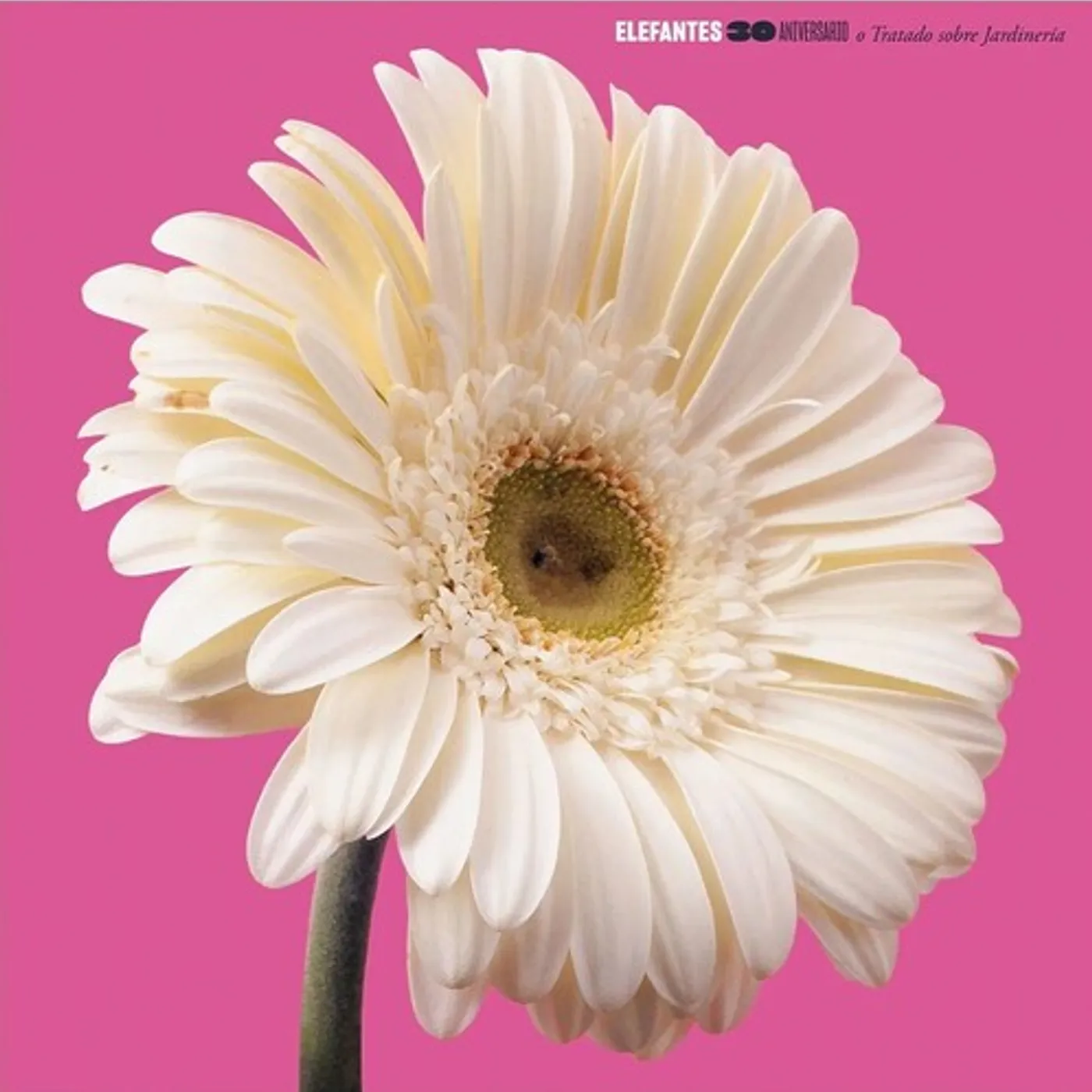 Elefantes 30 ANIVERSARIO - RED VINYL Vinyl Record