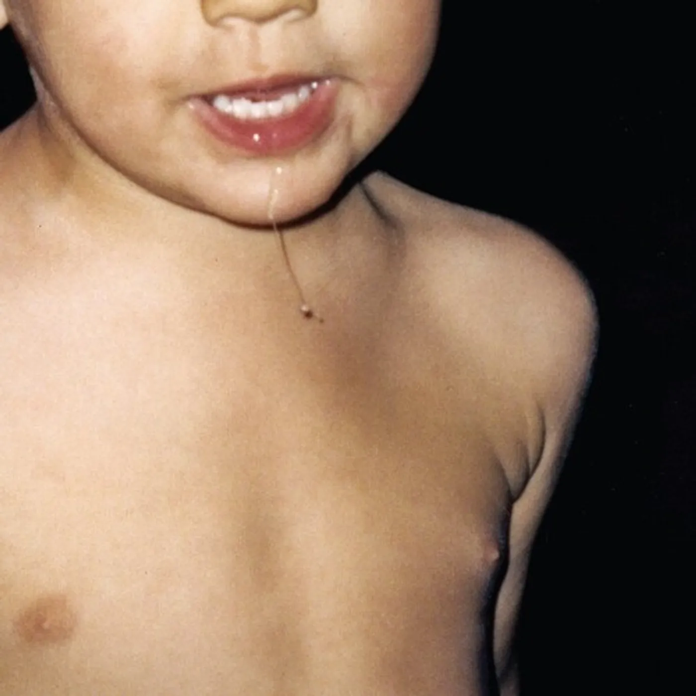 La Paloma Todavia No Vinyl Record