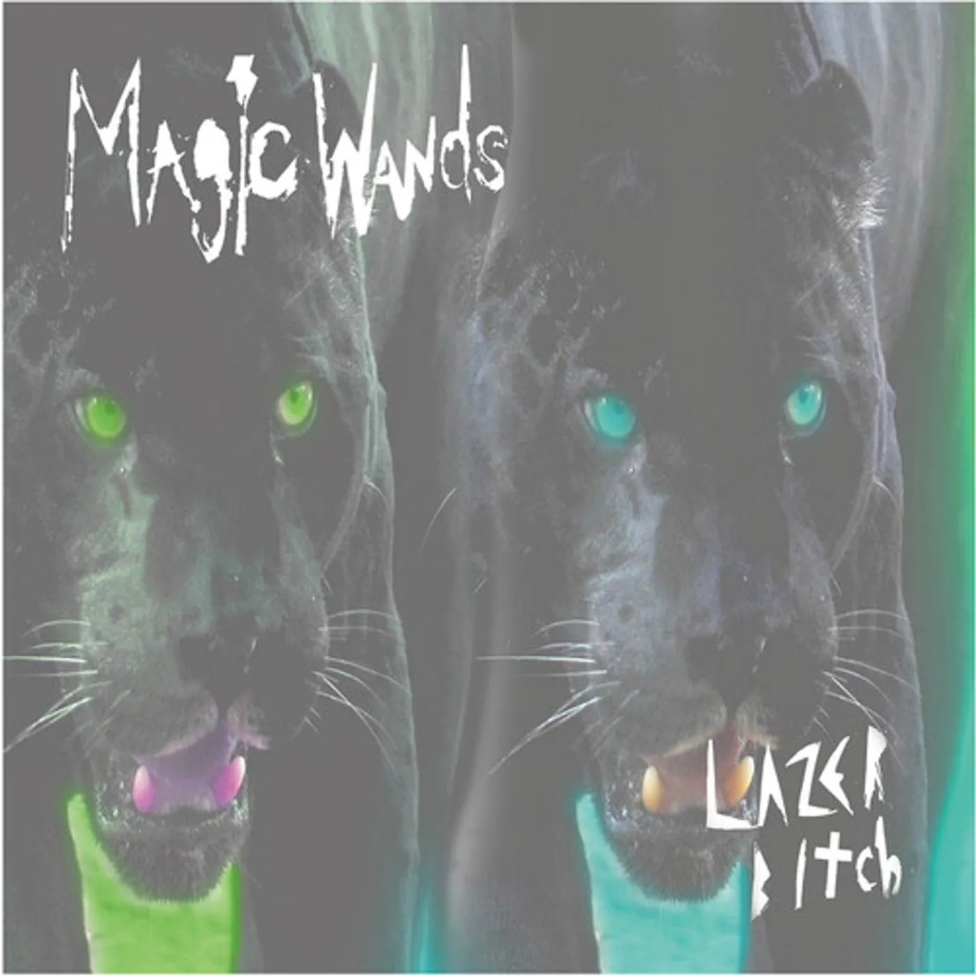 Magic Wands LAZER BITCH Vinyl Record