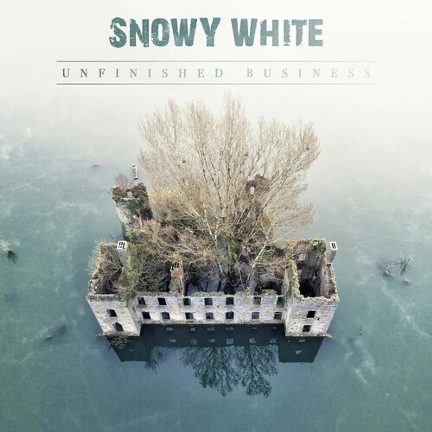 Snowy White UNFINISHED BUSINESS CD