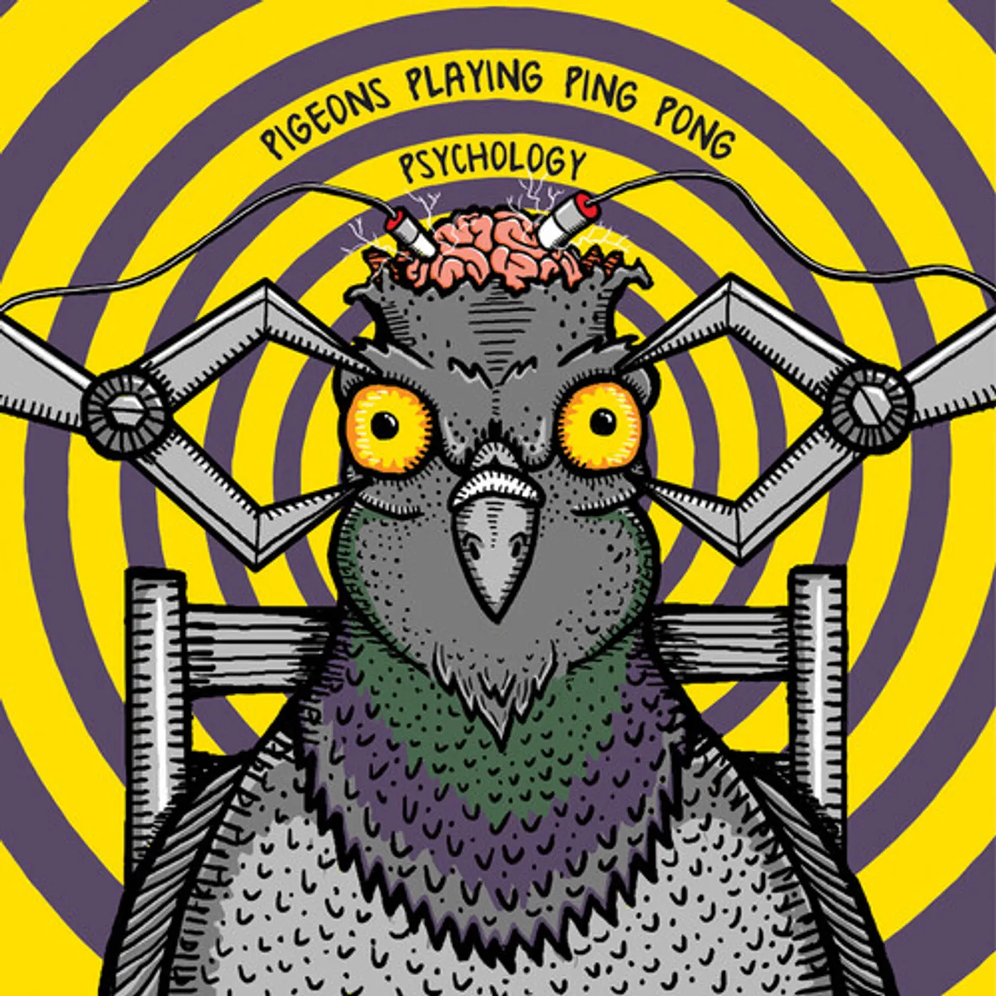 Pigeons Playing Ping Pong PSYCHOLOGY Vinyl Record