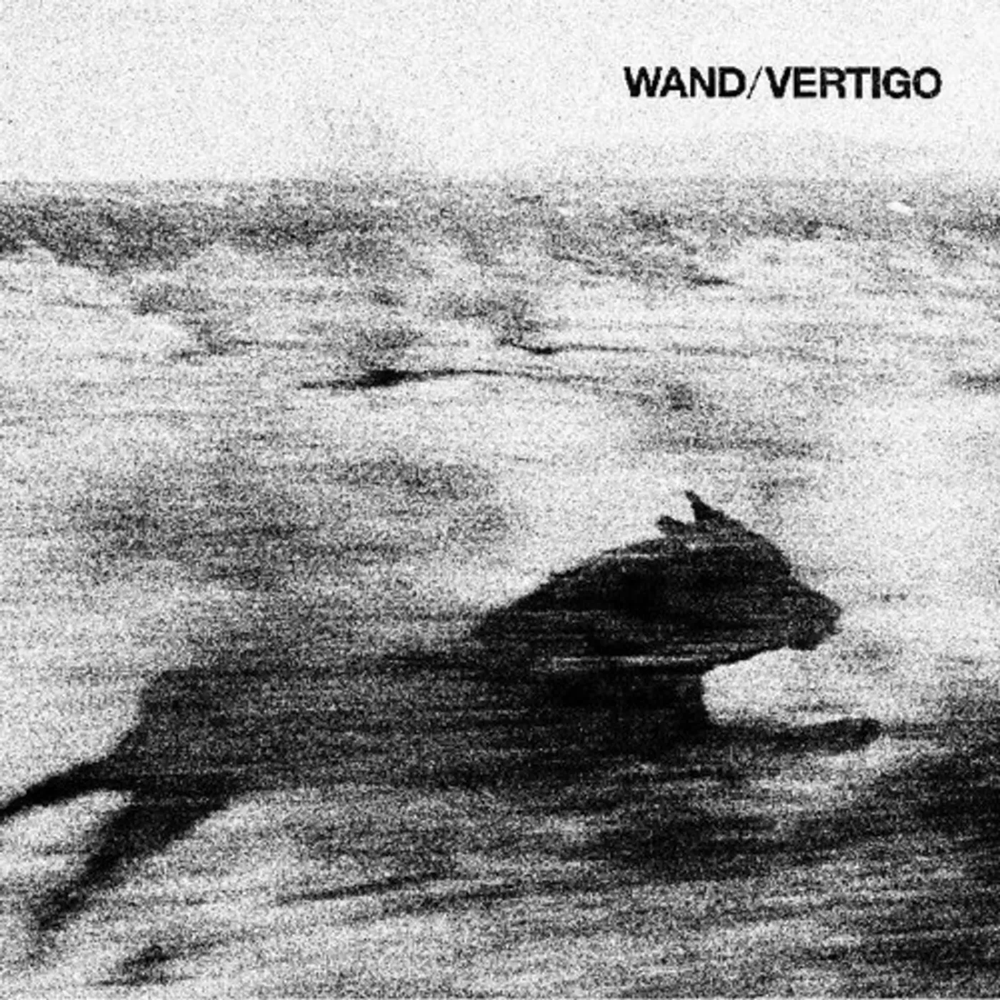 Wand VERTIGO Vinyl Record