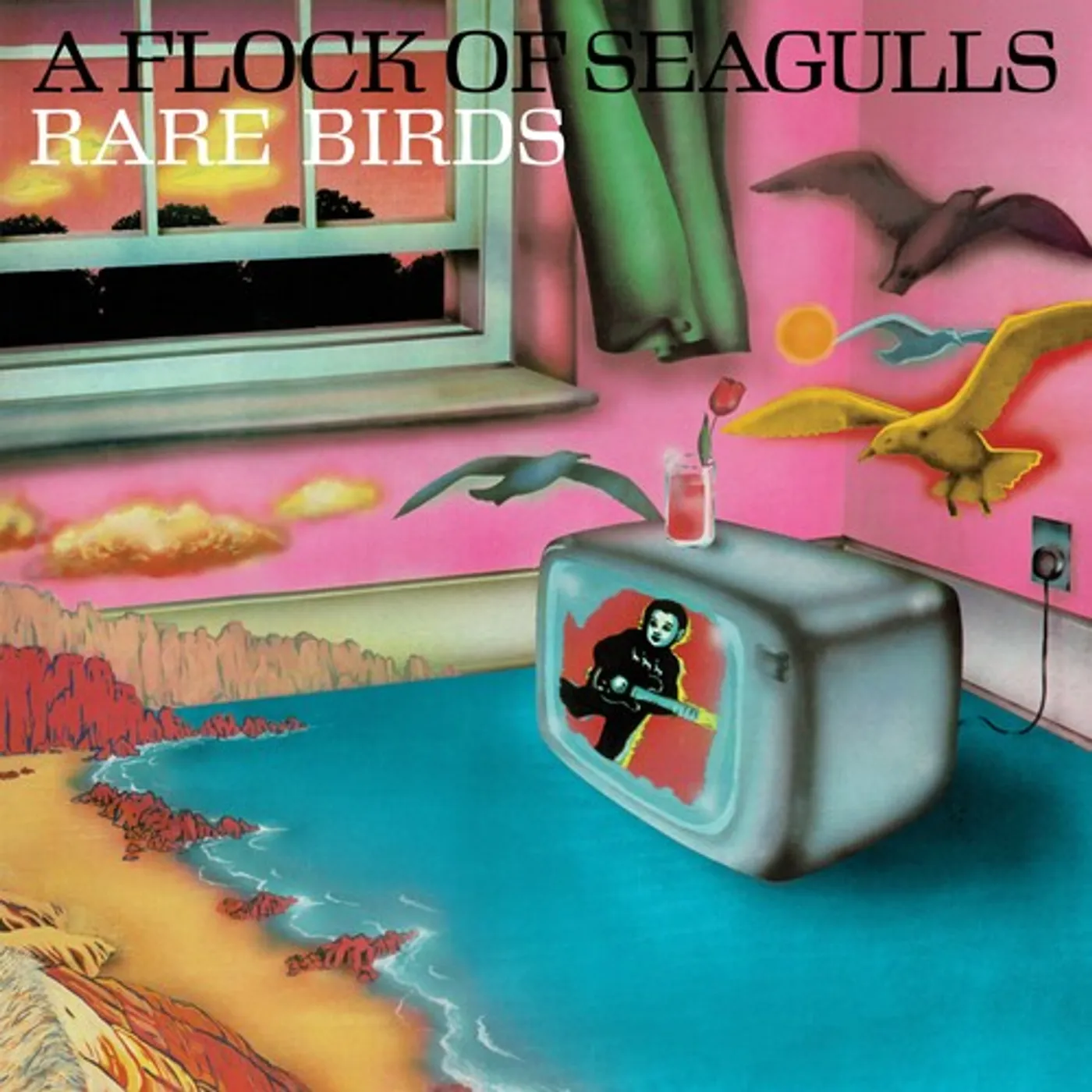 RARE BIRDS: A FLOCK OF SEAGULLS B-SIDES Vinyl Record