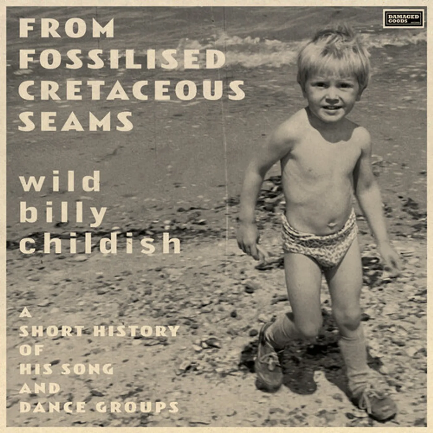 Billy Childish From Fossilised Cretaceous Seams: A Short History (2LP) Vinyl Record