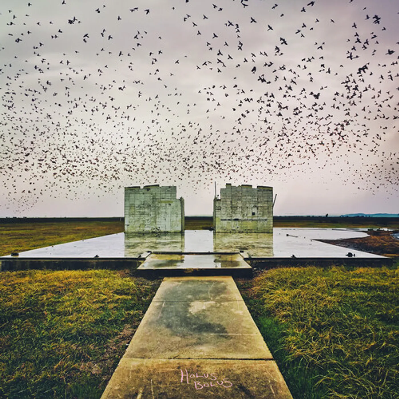 Lord Buffalo Holus Bolus Vinyl Record