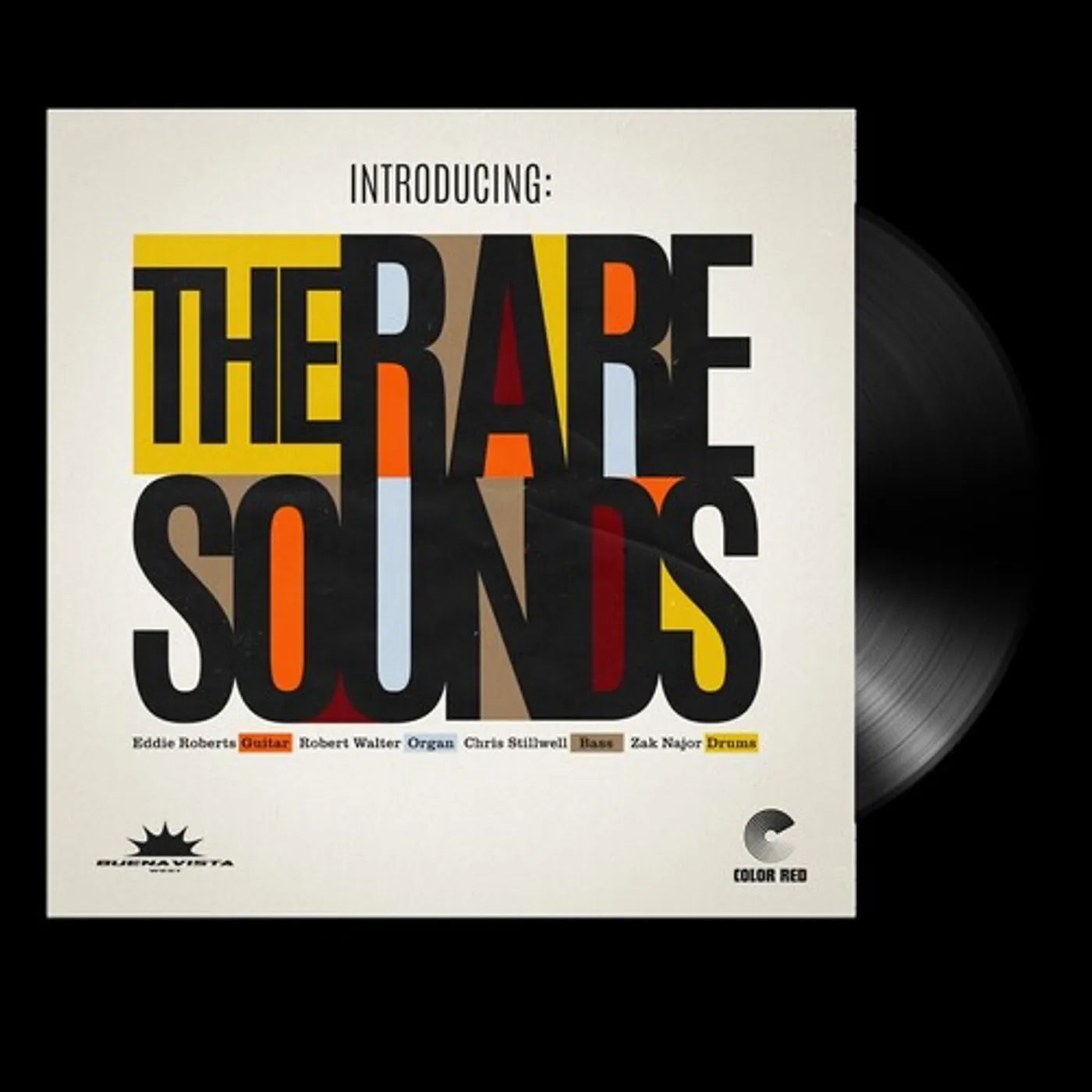 INTRODUCING: THE RARE SOUNDS Vinyl Record