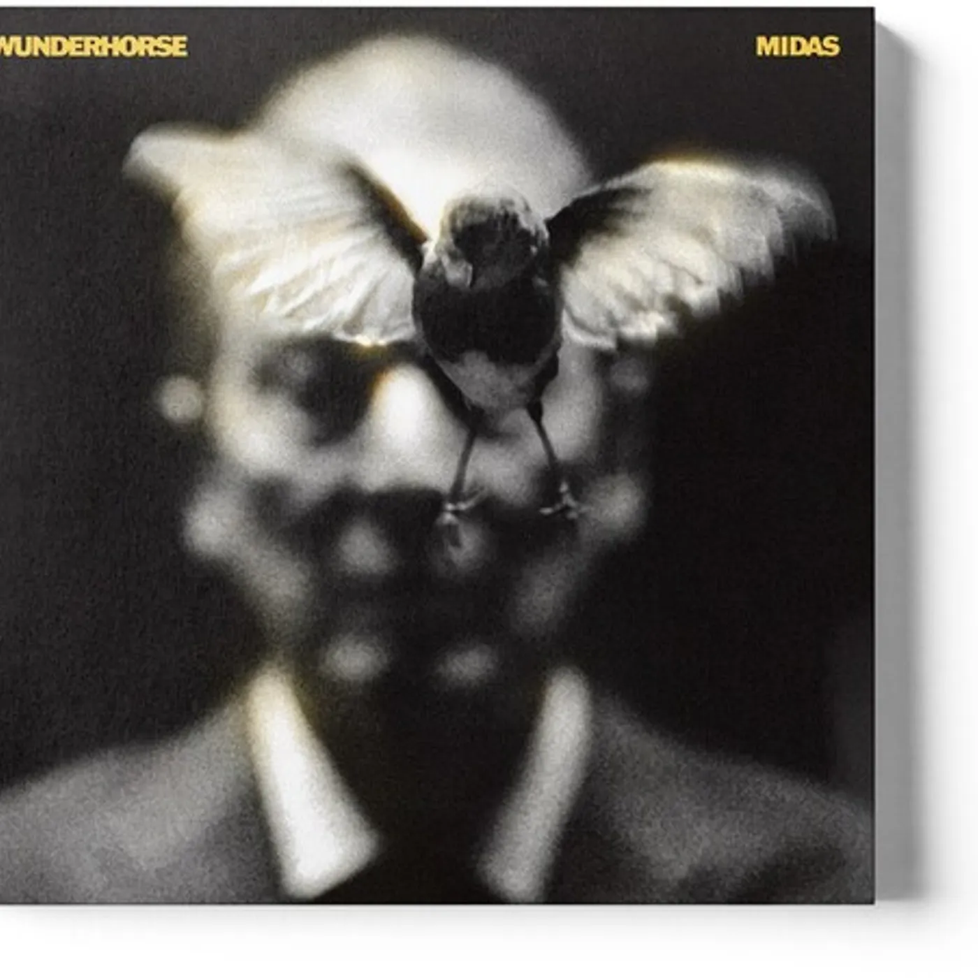 Wunderhorse MIDAS CD