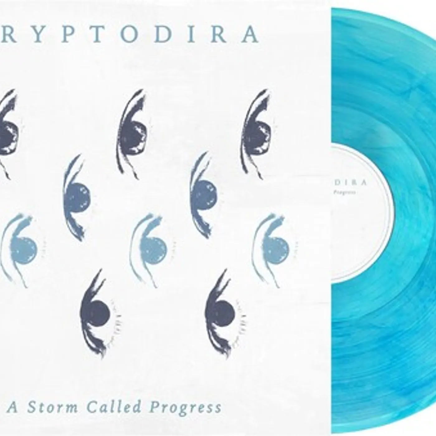 Cryptodira Storm Called Progress Vinyl Record