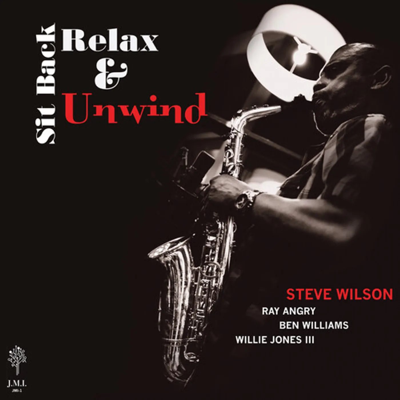 Steve Wilson Sit Back Relax & Unwind Vinyl Record