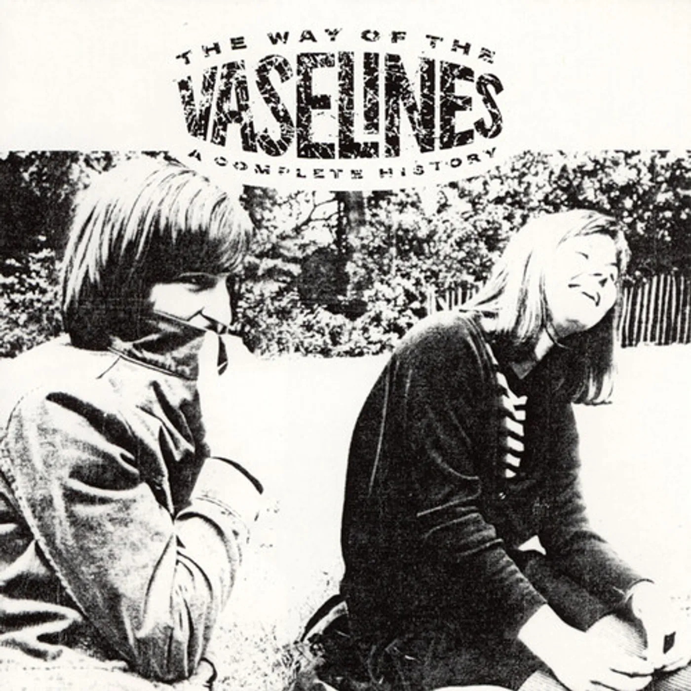 WAY OF THE VASELINES Vinyl Record