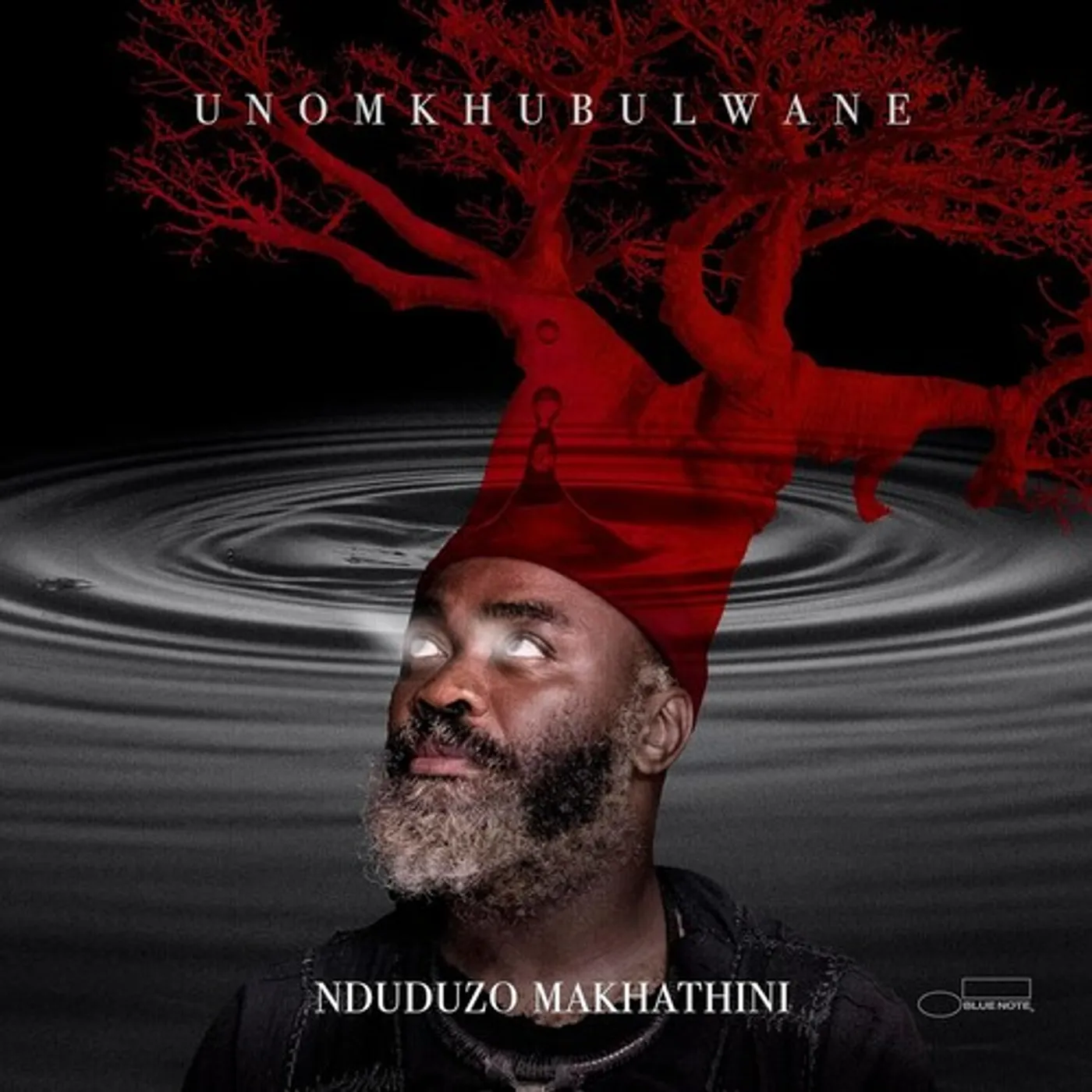Nduduzo Makhathini UNOMKHUBULWANE CD