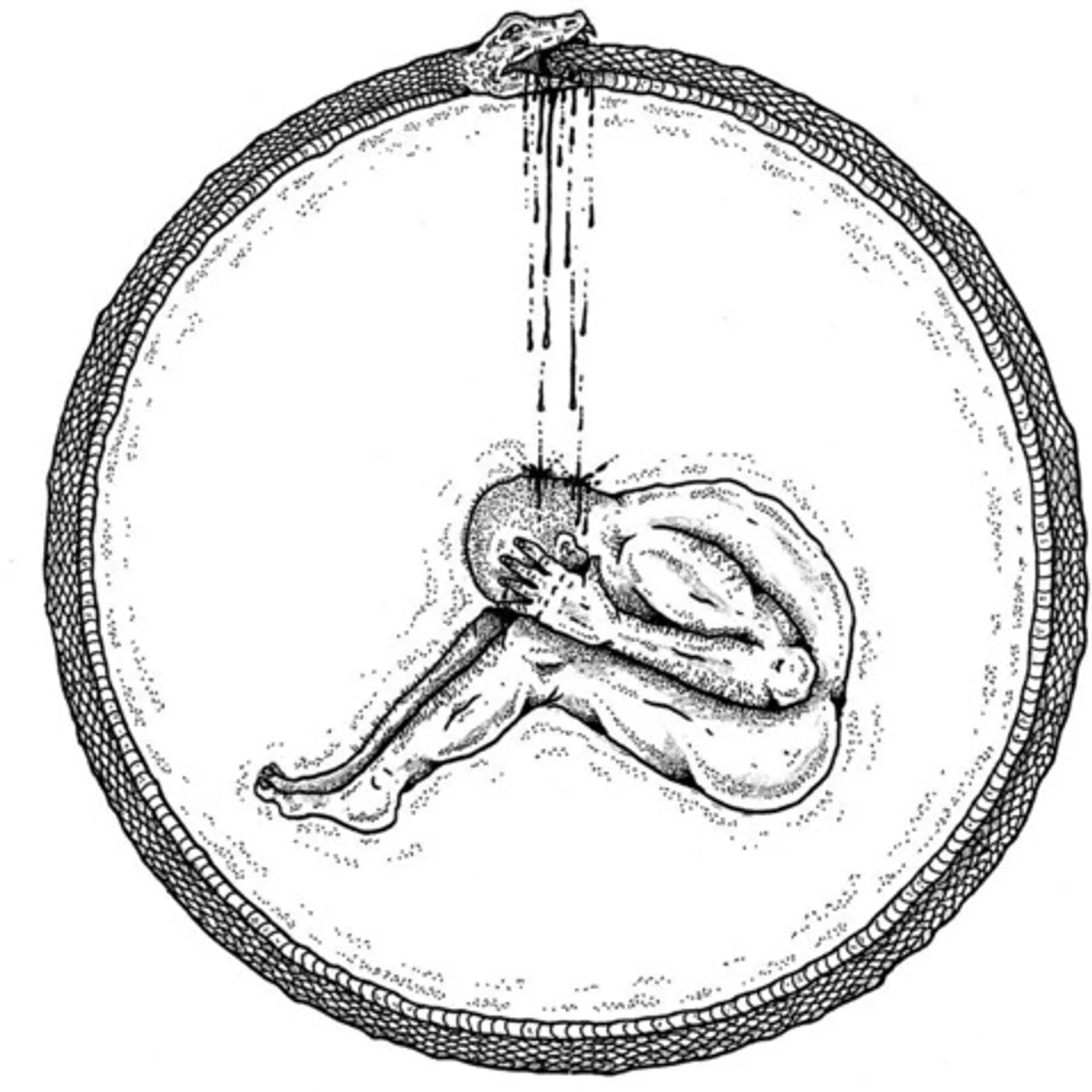 Caveman SOMETHING'S GOT TO GIVE Vinyl Record