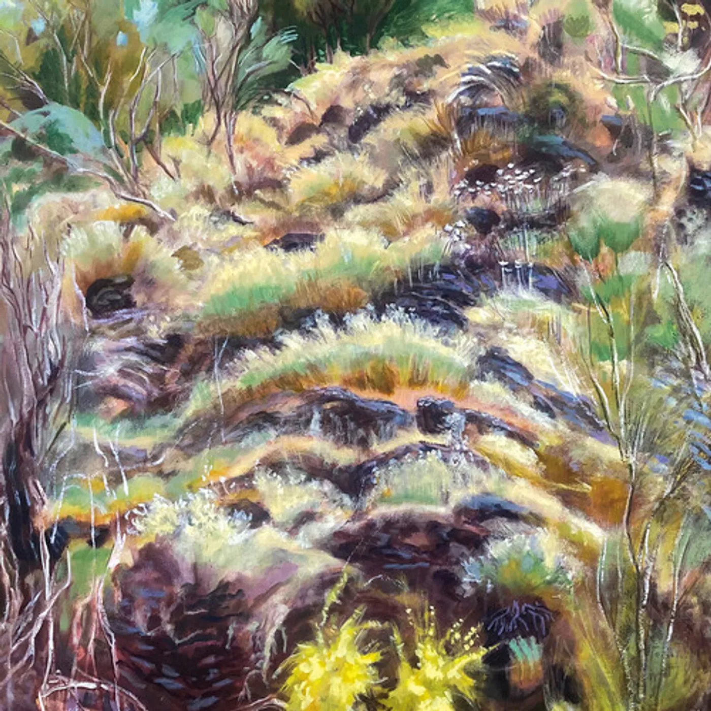 Swim Surreal IN THE HALF LIGHT CD