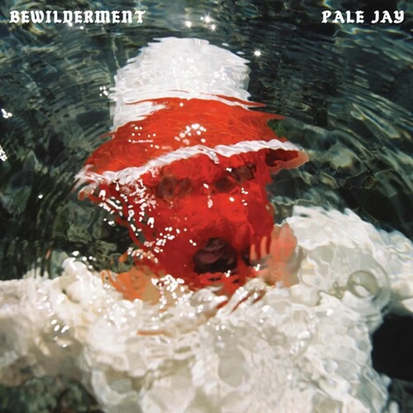 Pale Jay BEWILDERMENT Vinyl Record