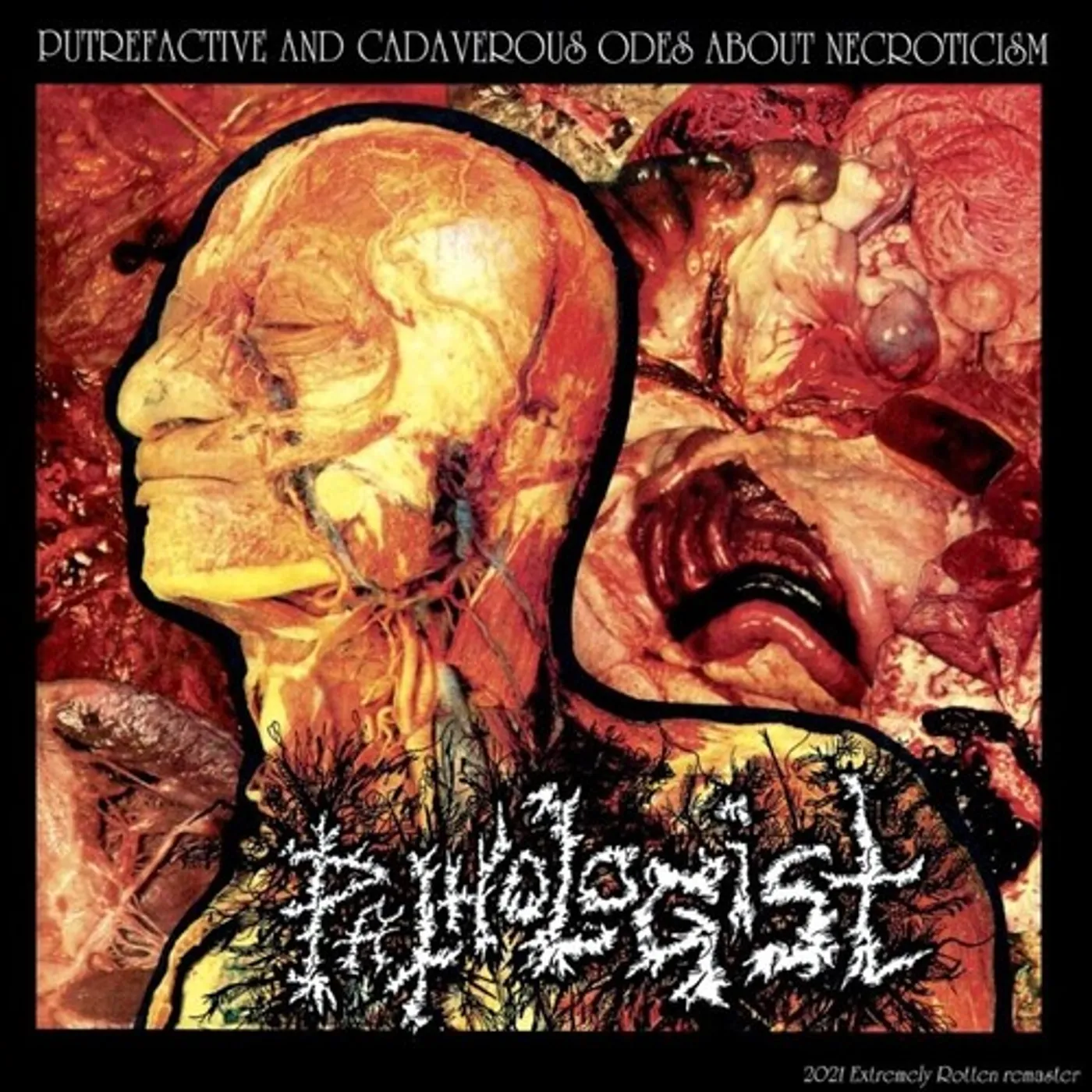 Pathologist PUTREFACTIVE & CADAVEROUS ODES TO NECROTICISM CD