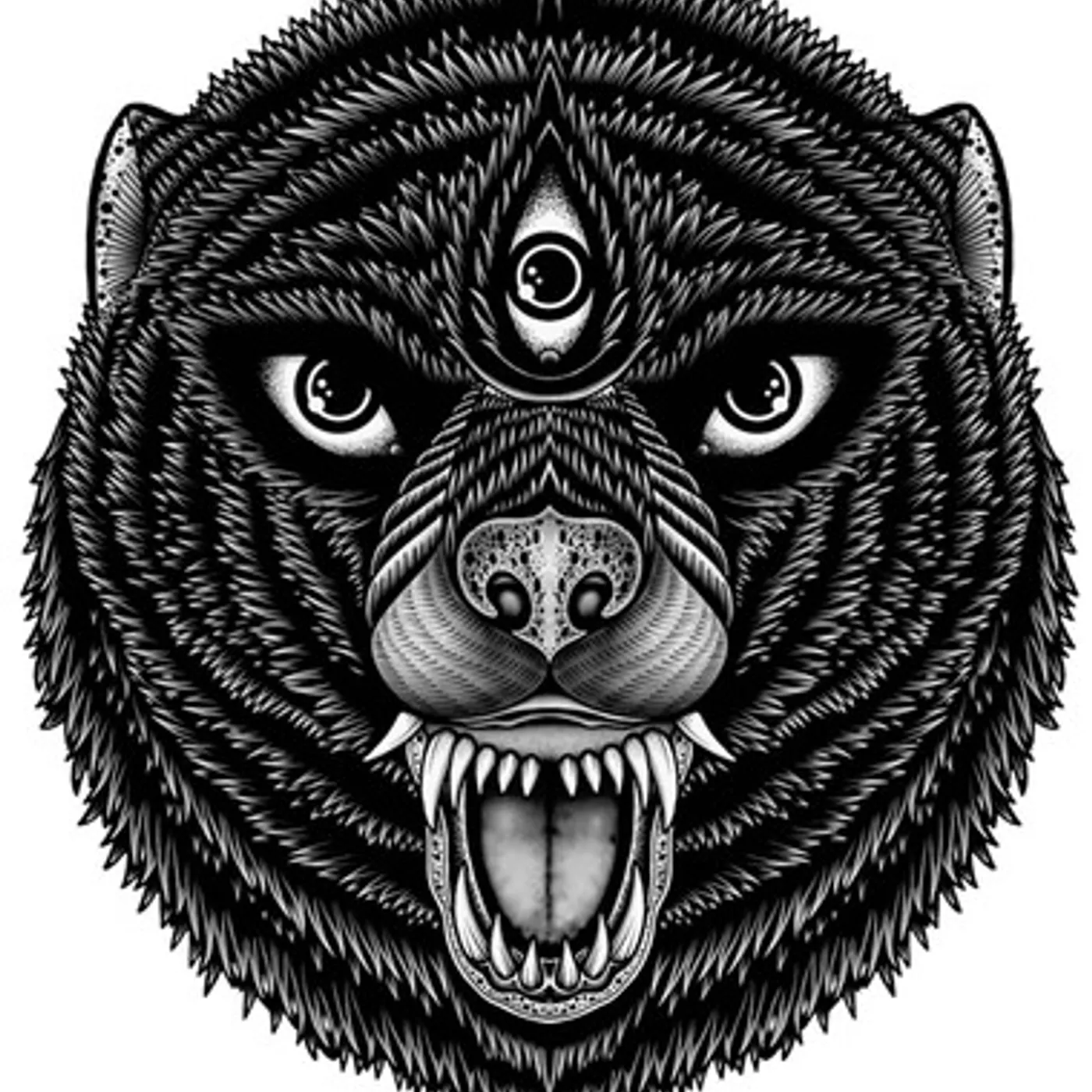 I Am The Avalanche Wolverines Vinyl Record