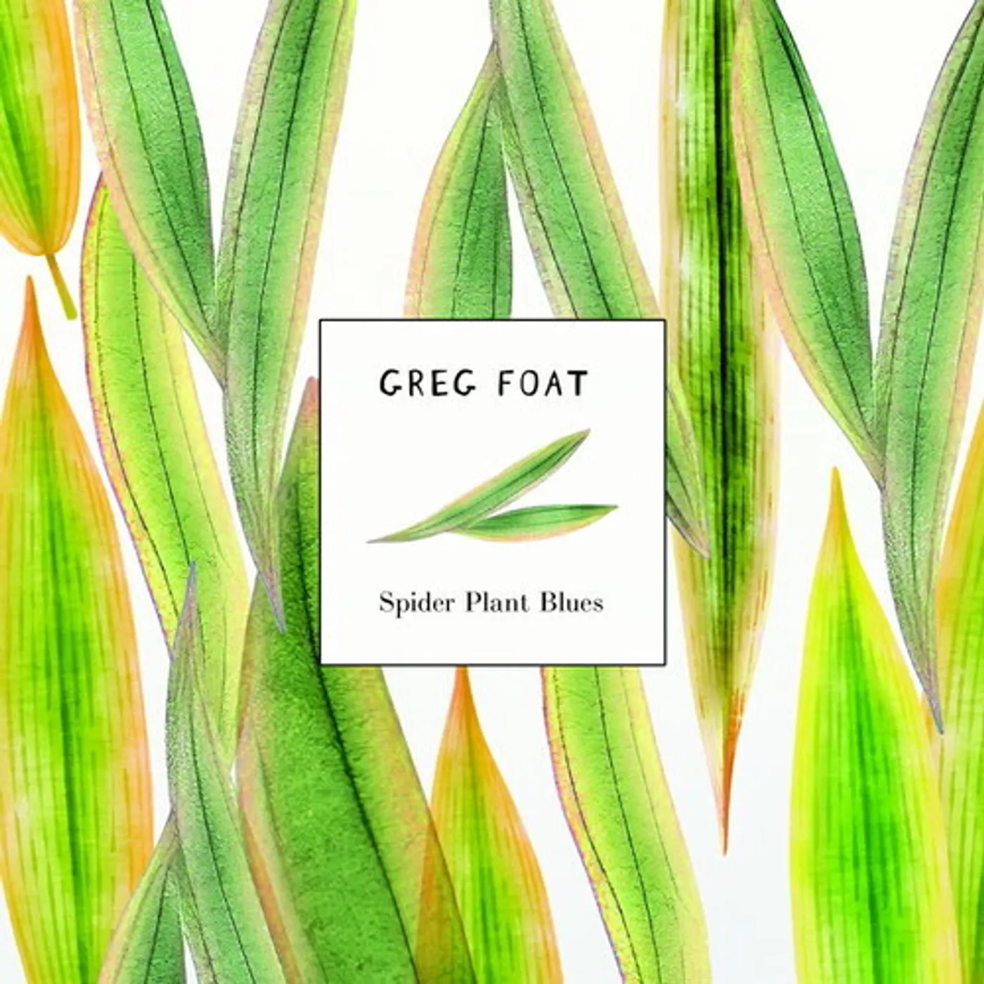 Greg Foat SPIDER PLANT BLUES Vinyl Record